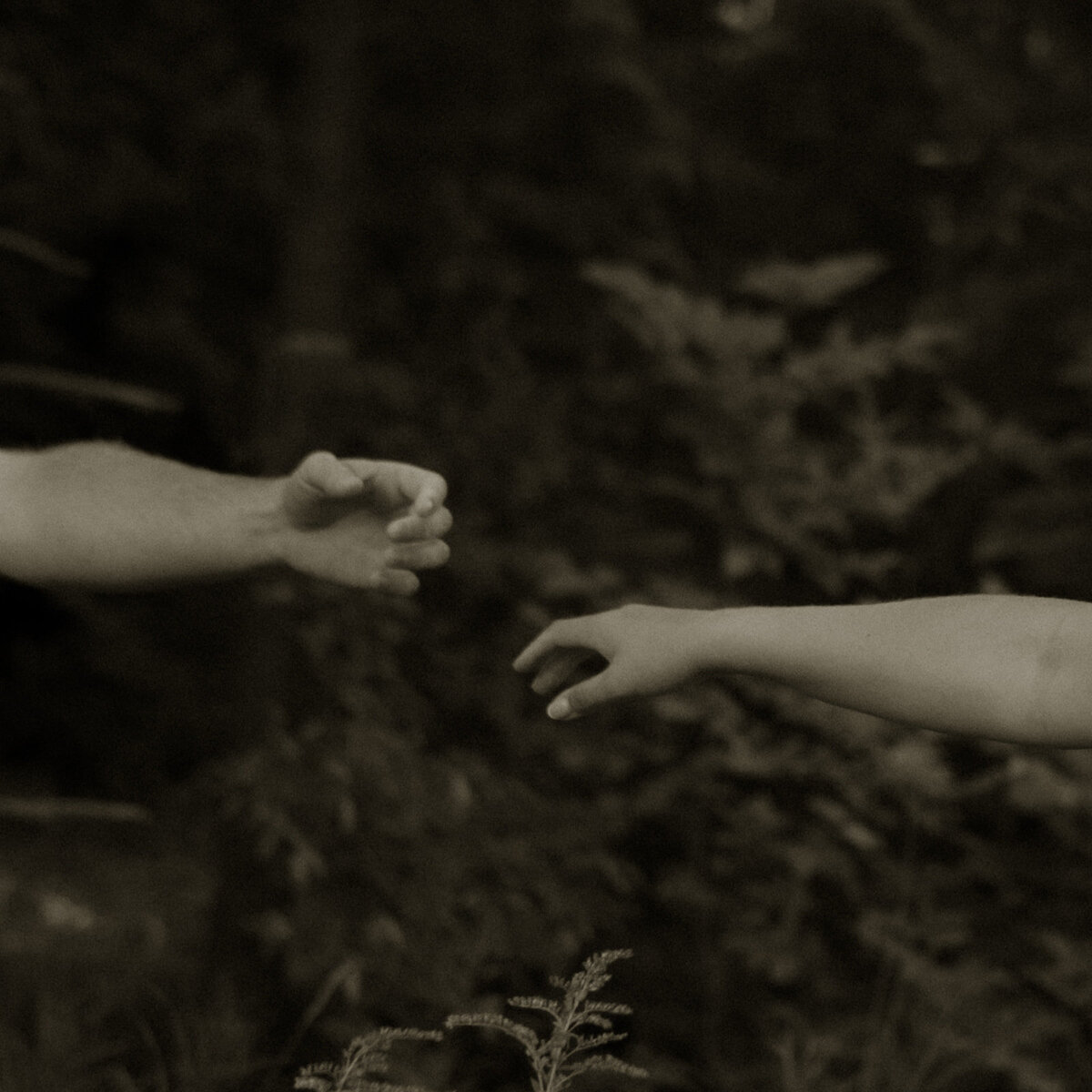 ZettelPhotography-1465-3