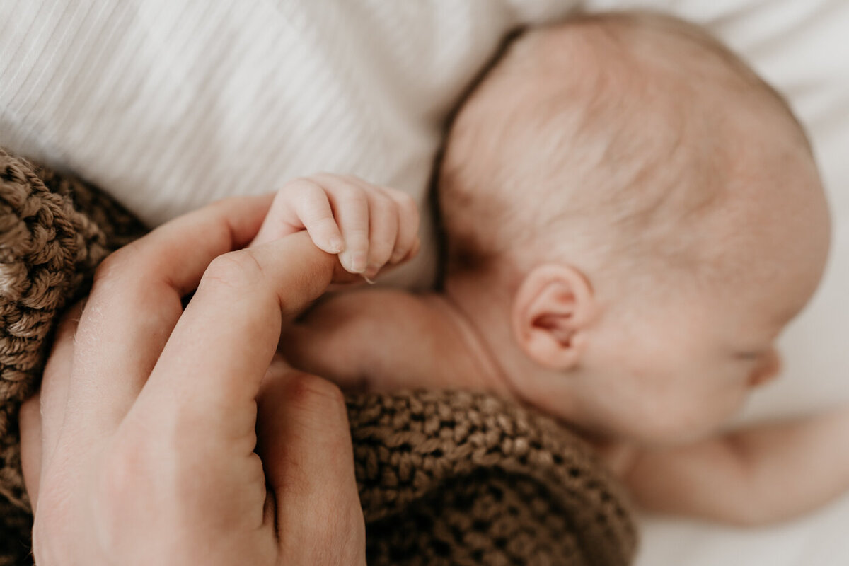 Newbornshoot Noord-Brabant-6