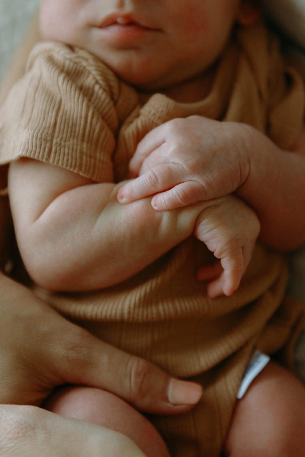 6.9.2025 - The Schultz Family_ Newborn-137