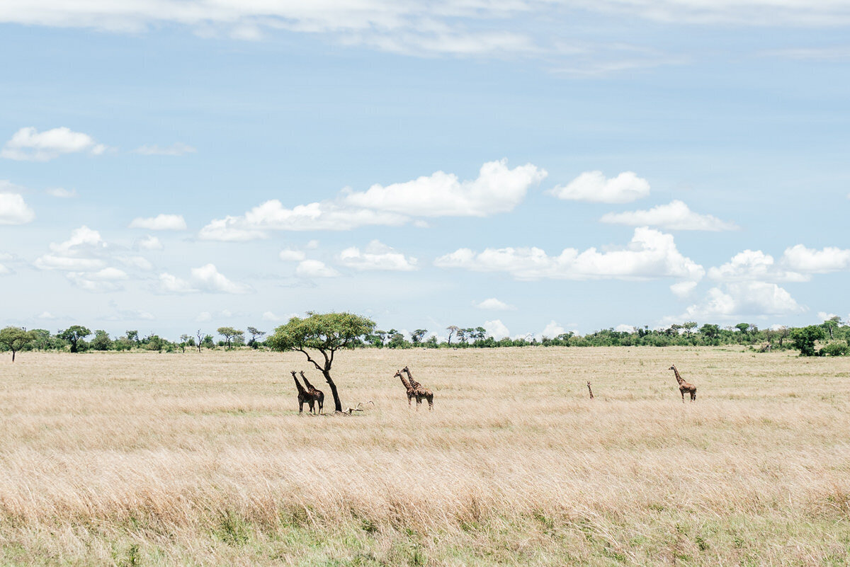leila-brewster-photography-tanzania-0586