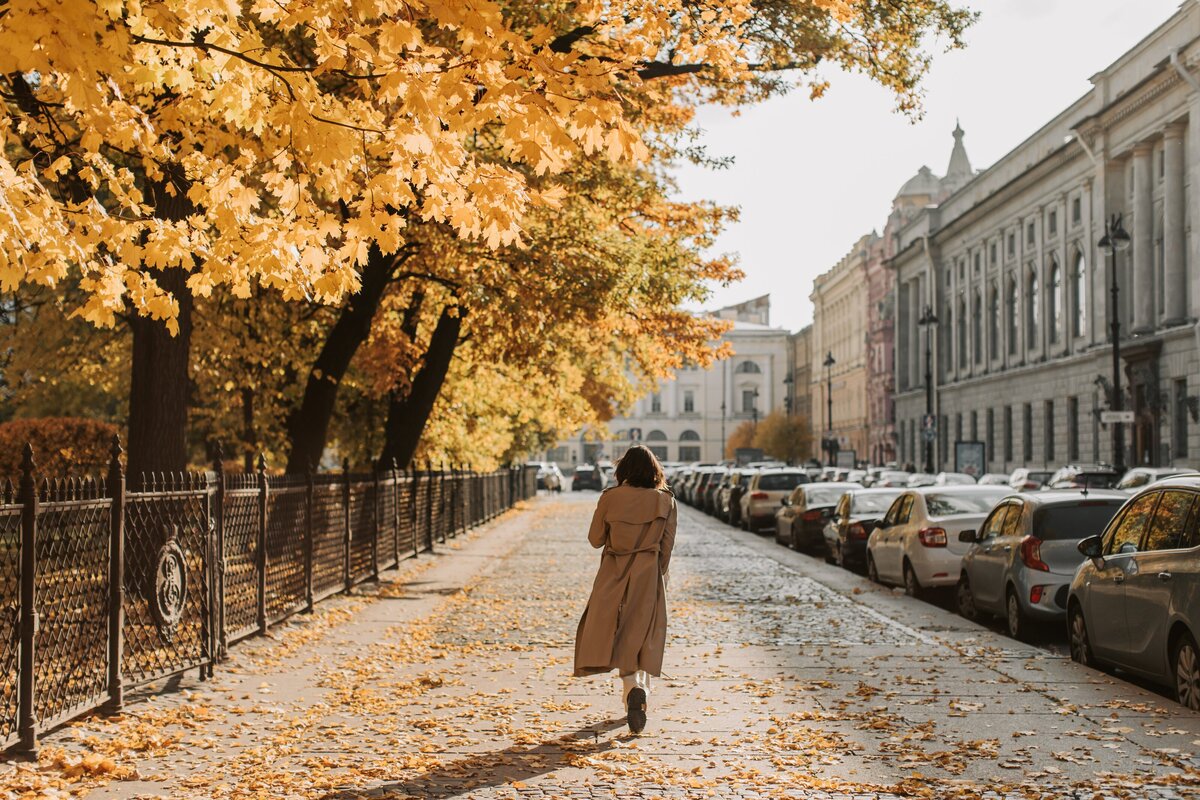 pexels-vlada-karpovich-9968446