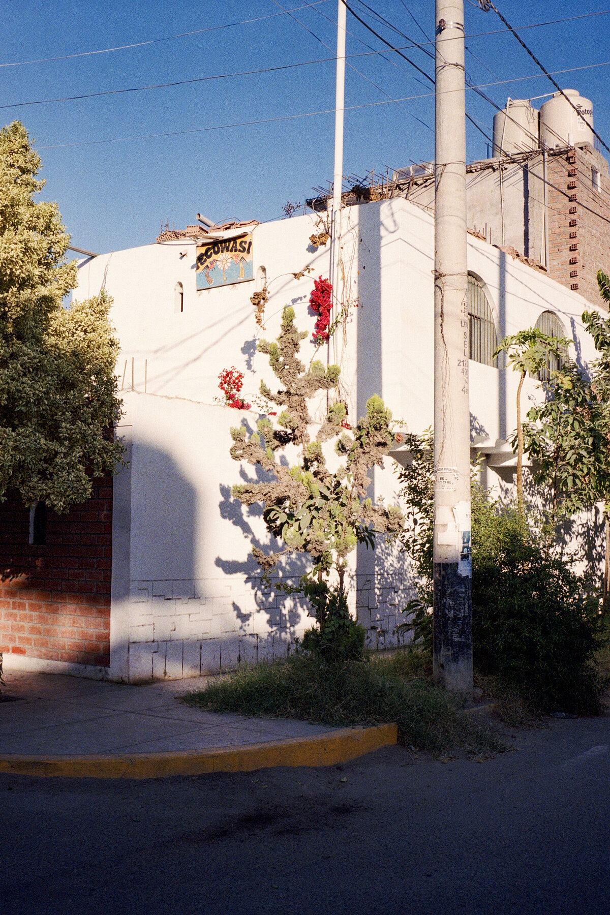 Fotoreeks_Muchoscolores_43