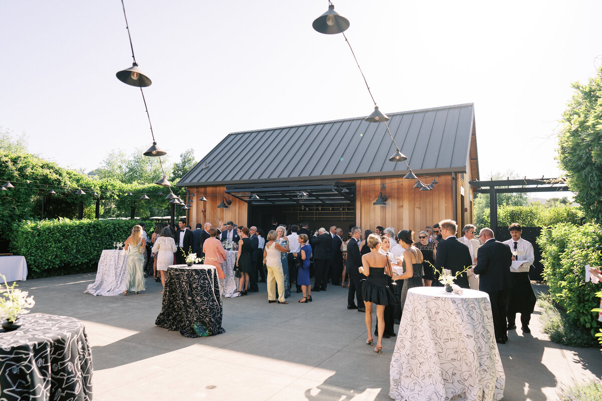 WILLOW-BEN-WEDDING-NAPA-PHOTOGRAPHER-53