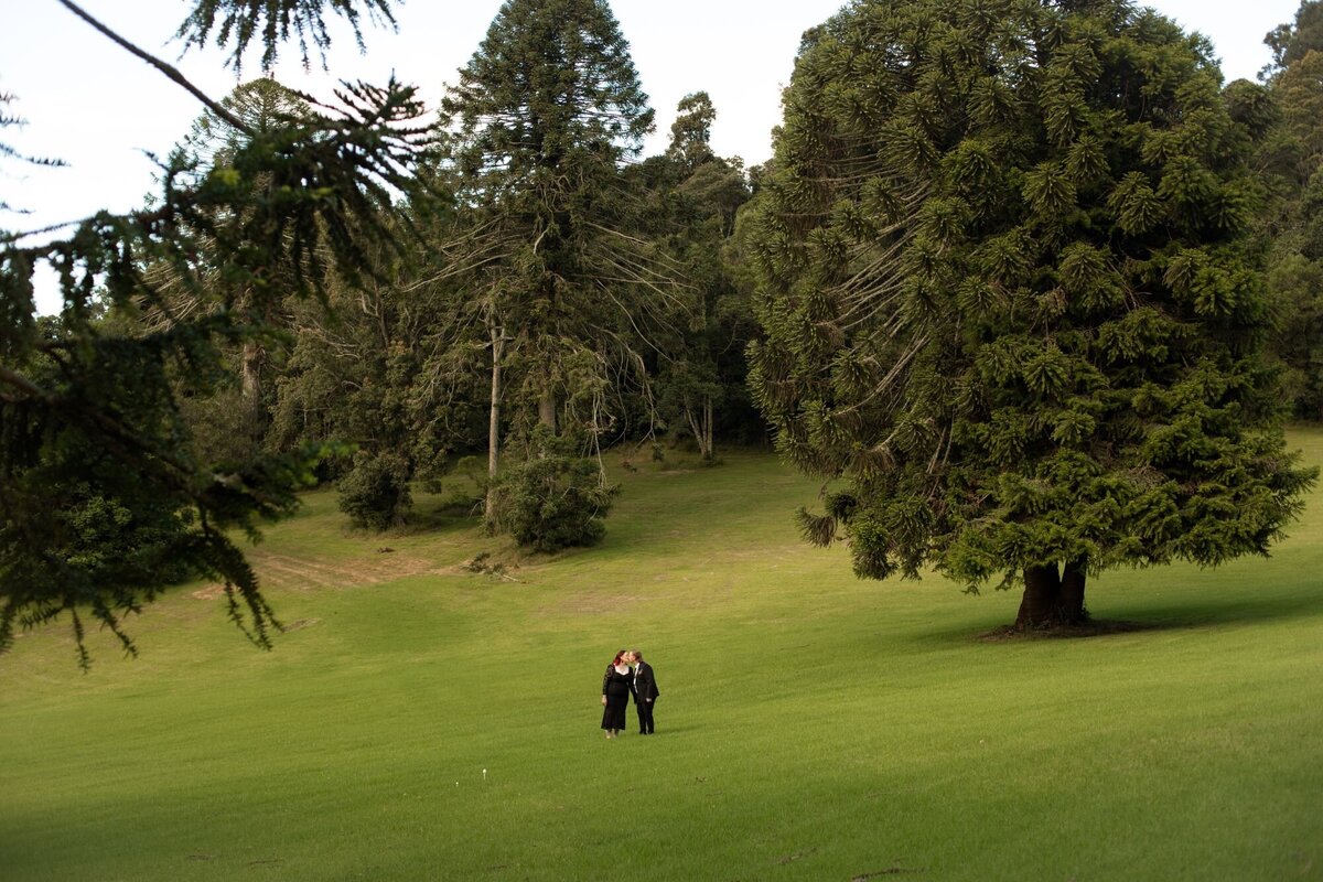 Bunya Mountains Elopement (13)