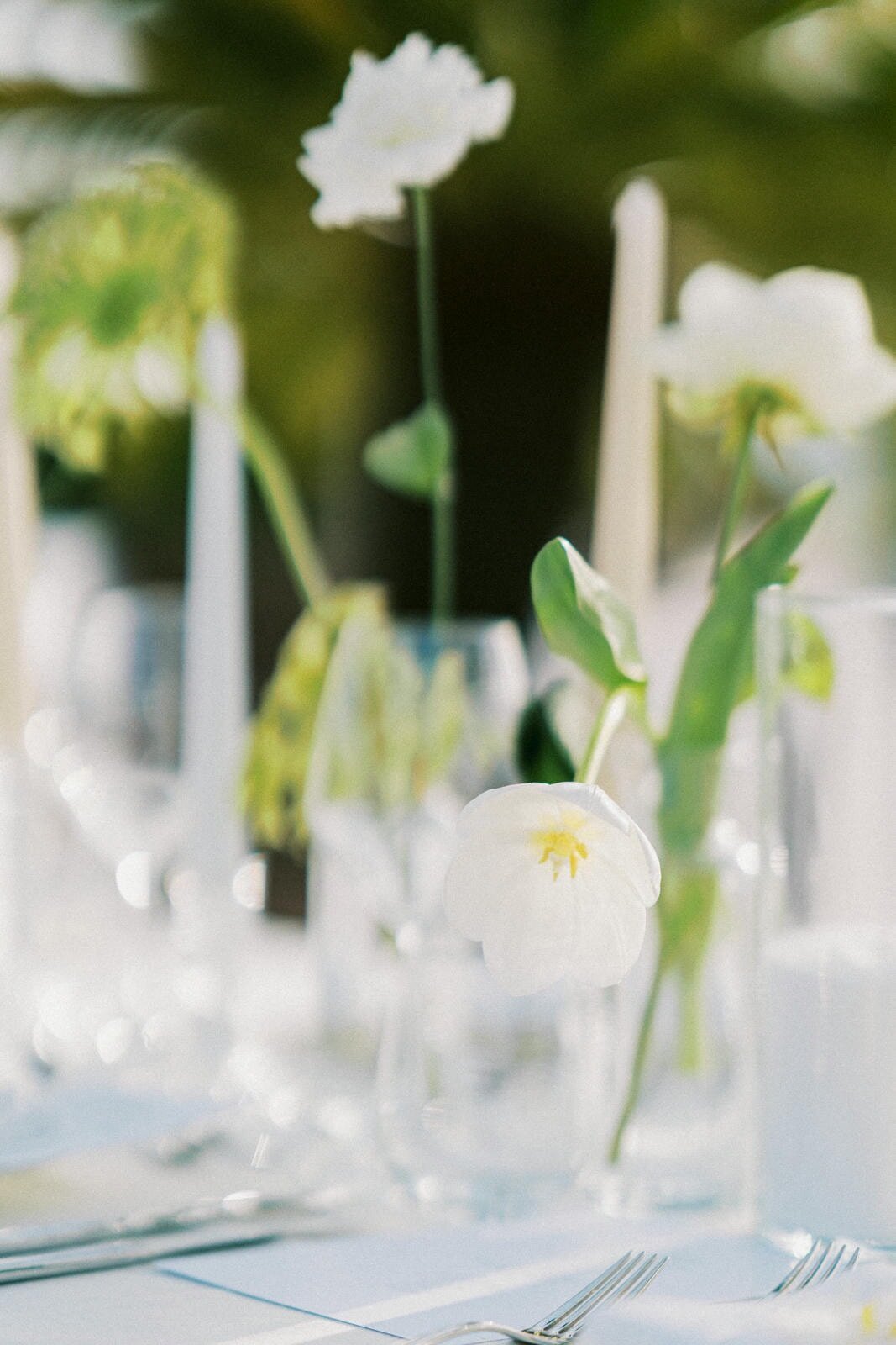 W13-Wedding-in-Porto-Montenegro-Frank-and-Alexa-2024-06-30-2500px-1233