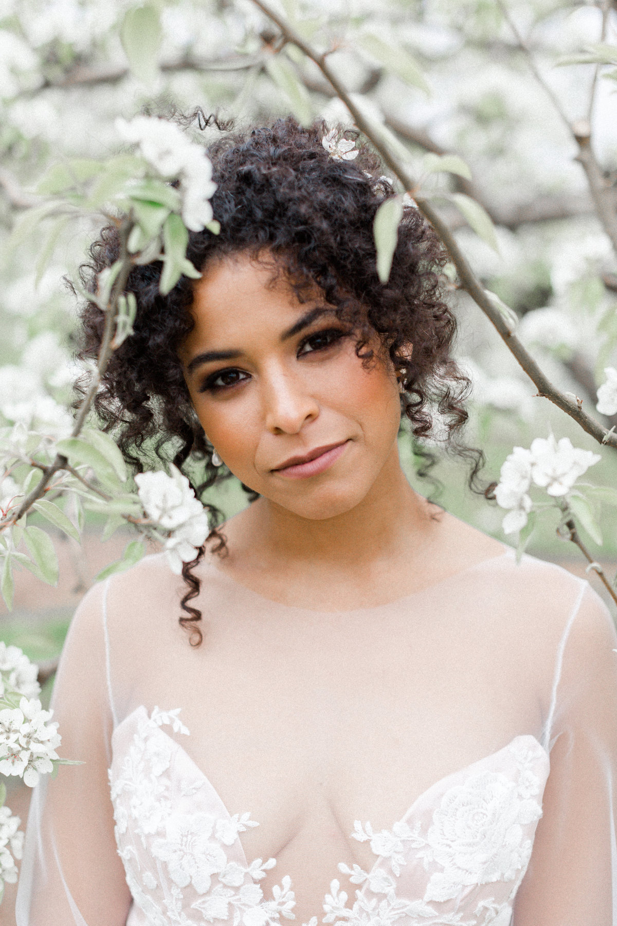 Terri-Lynn Warren Photography - Halifax Portrait and Wedding Photographer - Pear Blossom Editorial-7756