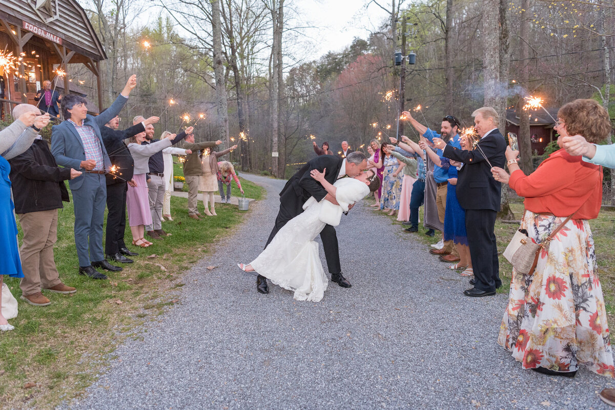 DBrownPhoto-April-Mike-Wedding_07Reception-336
