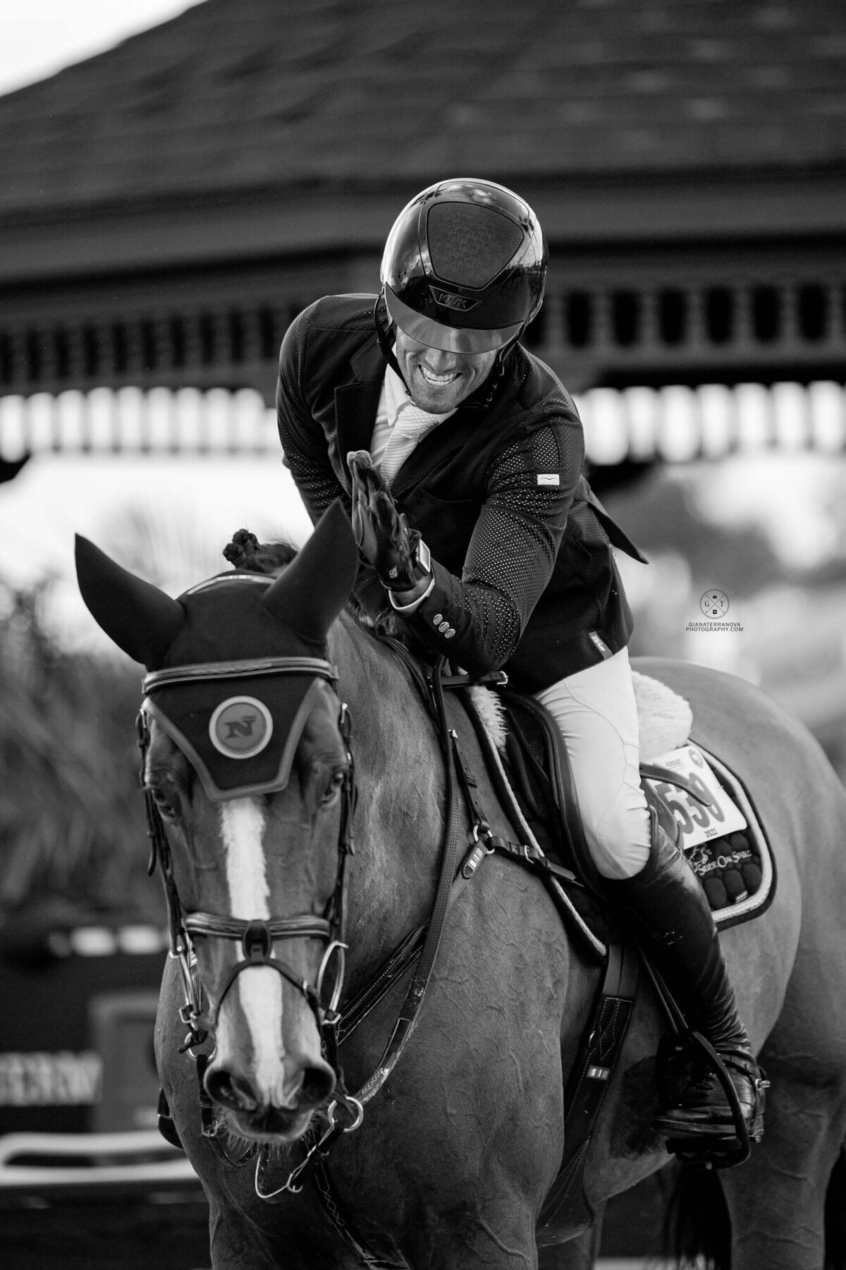 MICHIGAN SHOWJUMPING TEAM, SHOWJUMPING HORSES_US EQUESTRIAN TEAM (1)