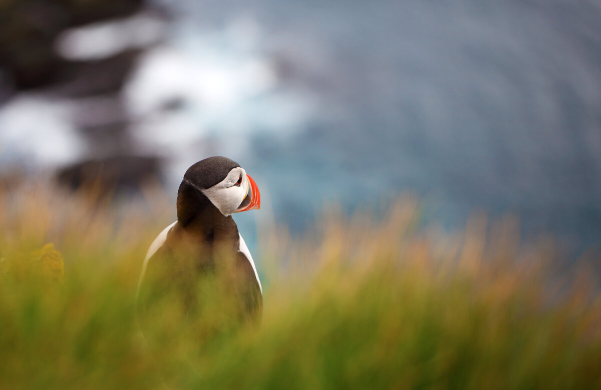 Savannah-photographer-traveler-iceland-09