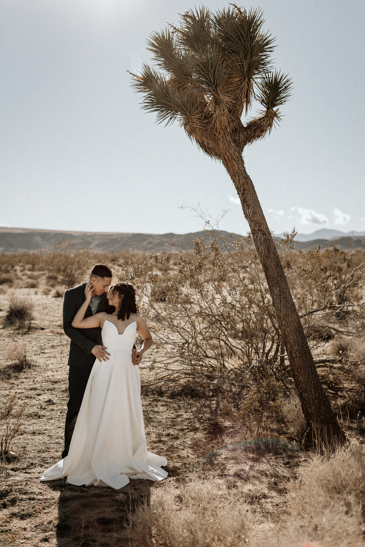 mkphotography_joshuatreeelopement_web-10