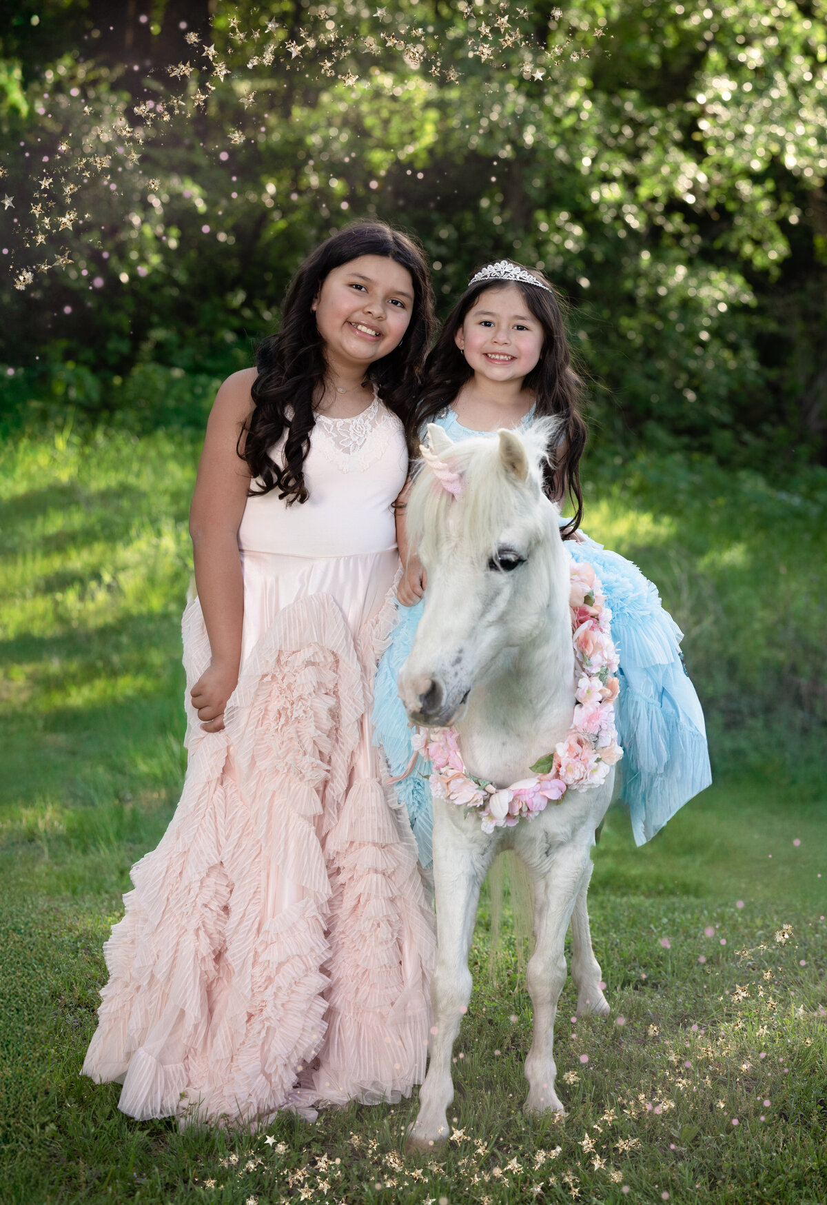 dallas-and-fort-worth-unicorn-portrait-013