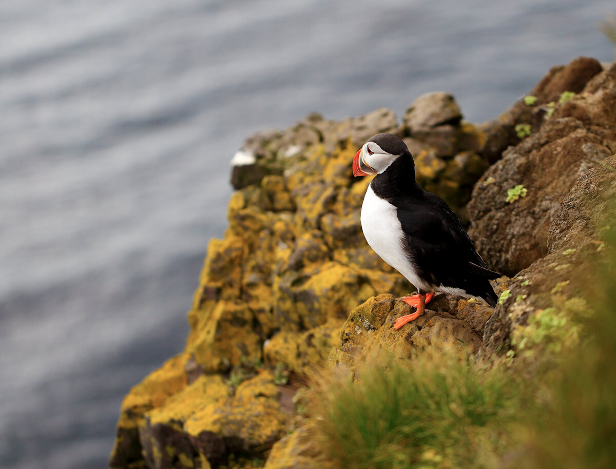 Savannah-photographer-traveler-iceland-08