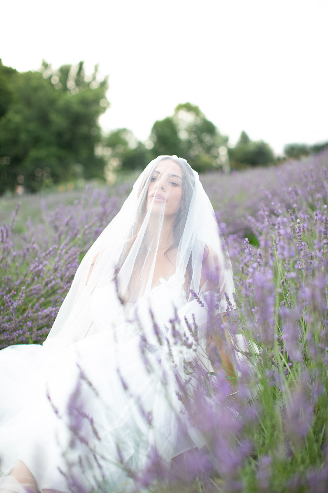 Lavender Field Grace -Blush Wood Studios  (4 of 5)