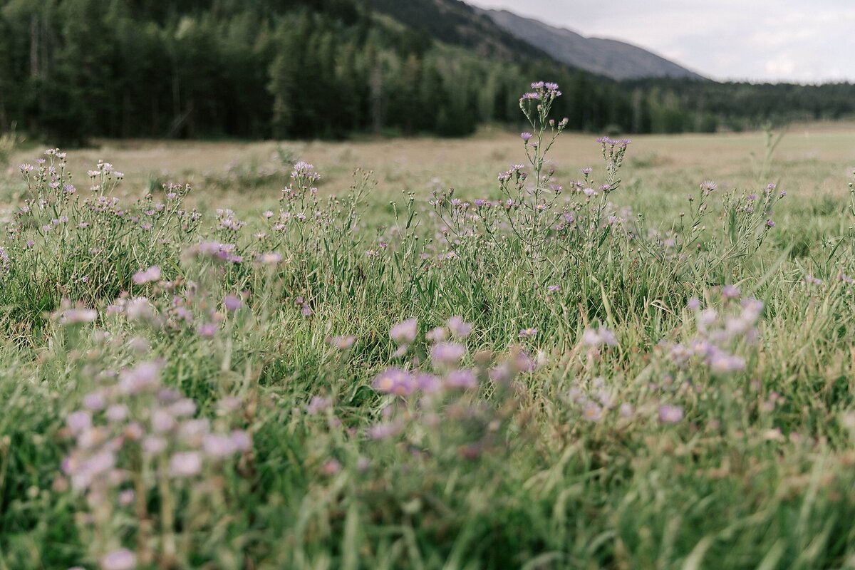 snake-river-ranch-wedding_2636