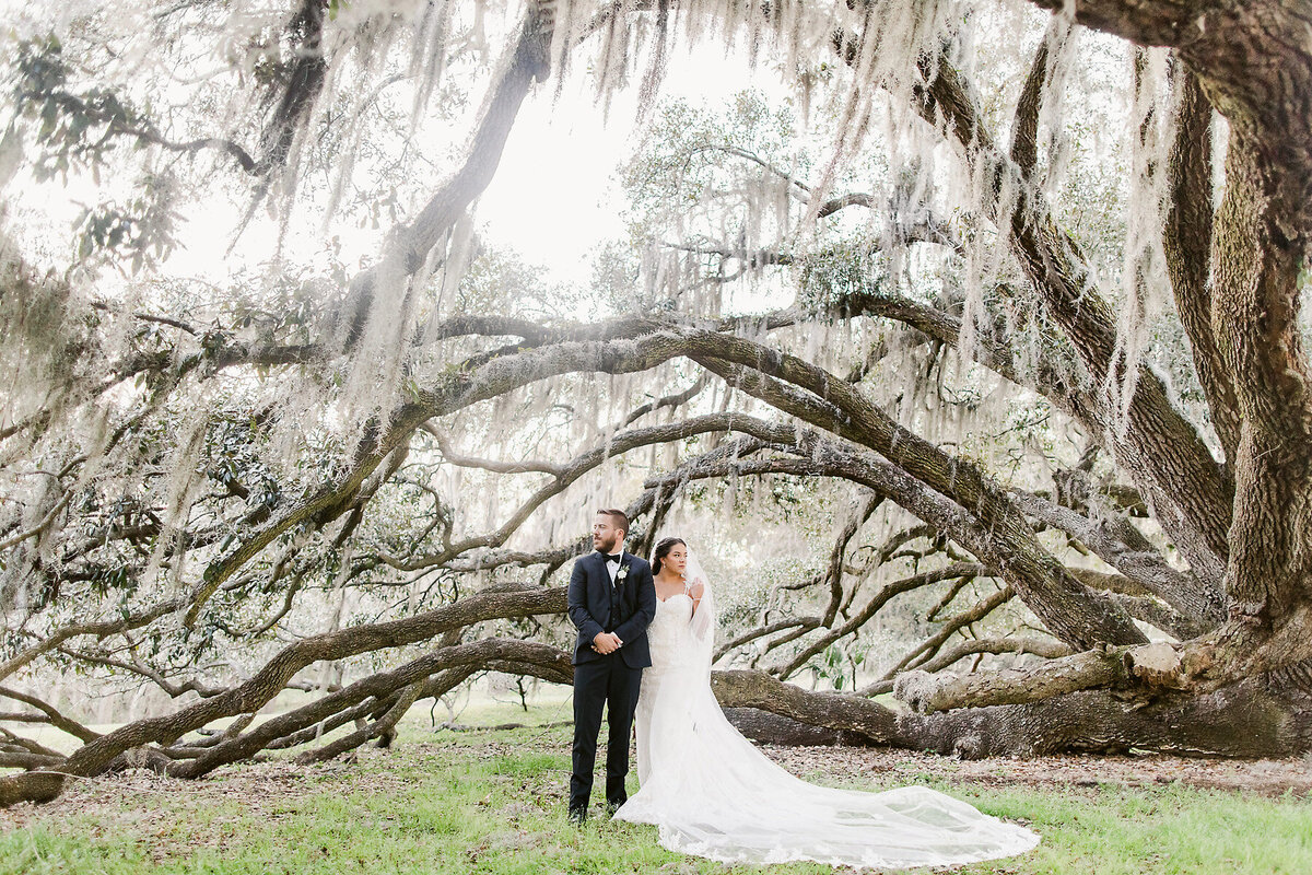 Bride and groom standing in front of oak tree looking in opposite directions.