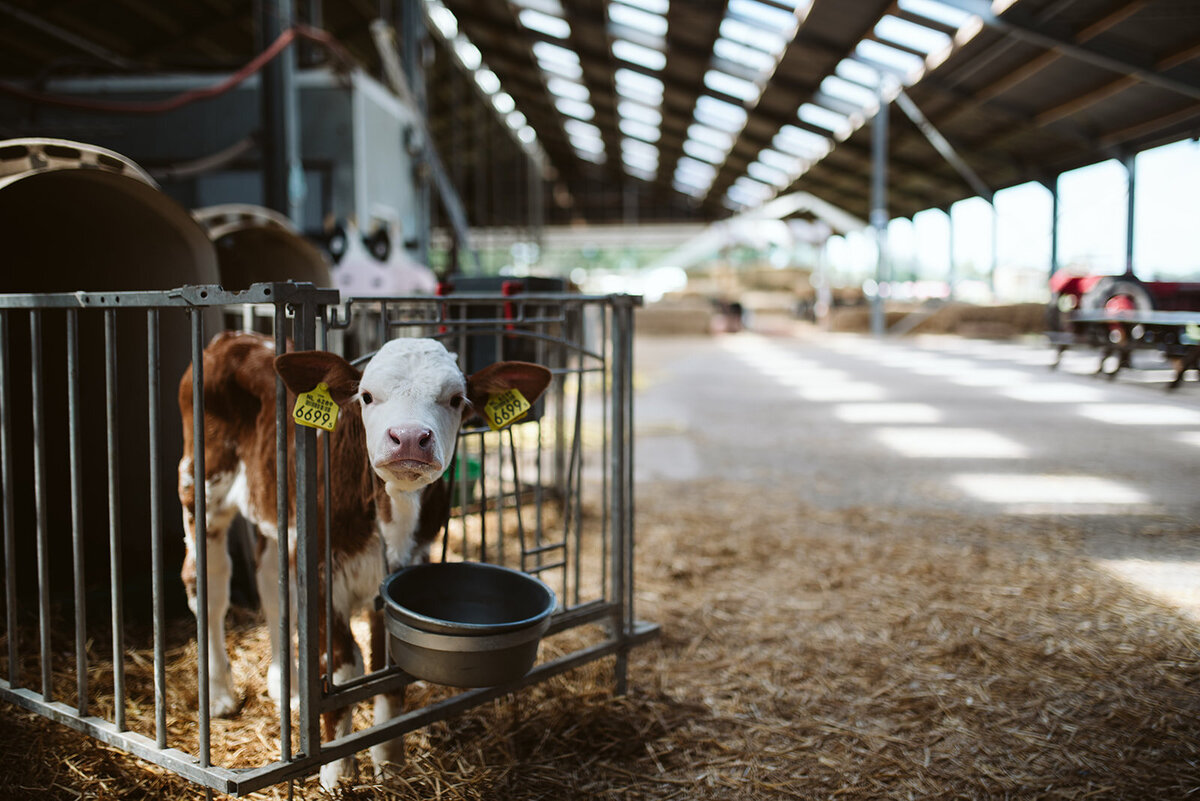MarianneBalPhotography.Wedding.Aniek&Andries-219