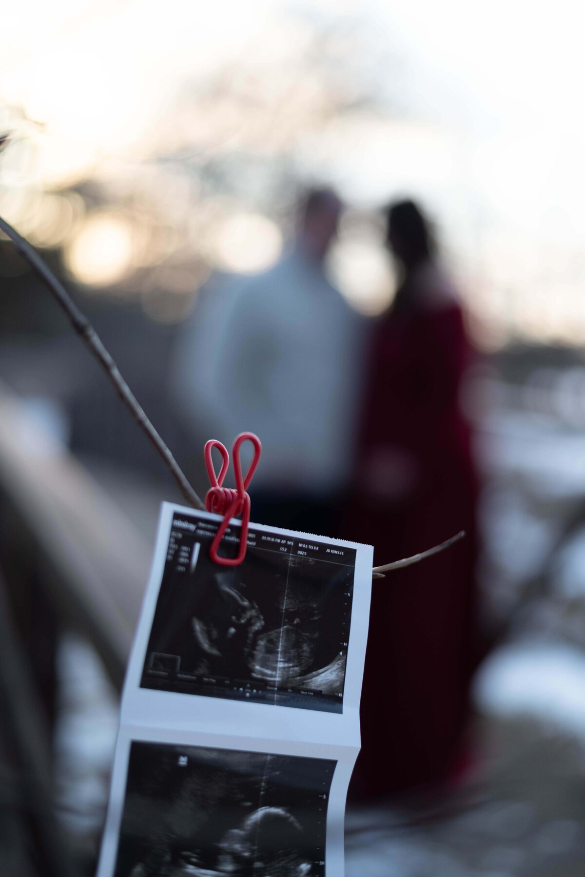 kensington-metropark-ultrasound-bokeh