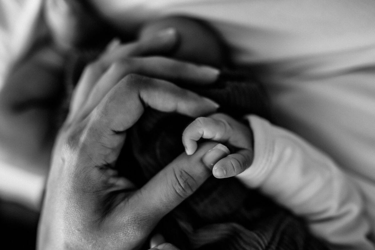 Ashley Kaplan Photography San Francisco Bay Area Family Newborn Maternity Photographer-9