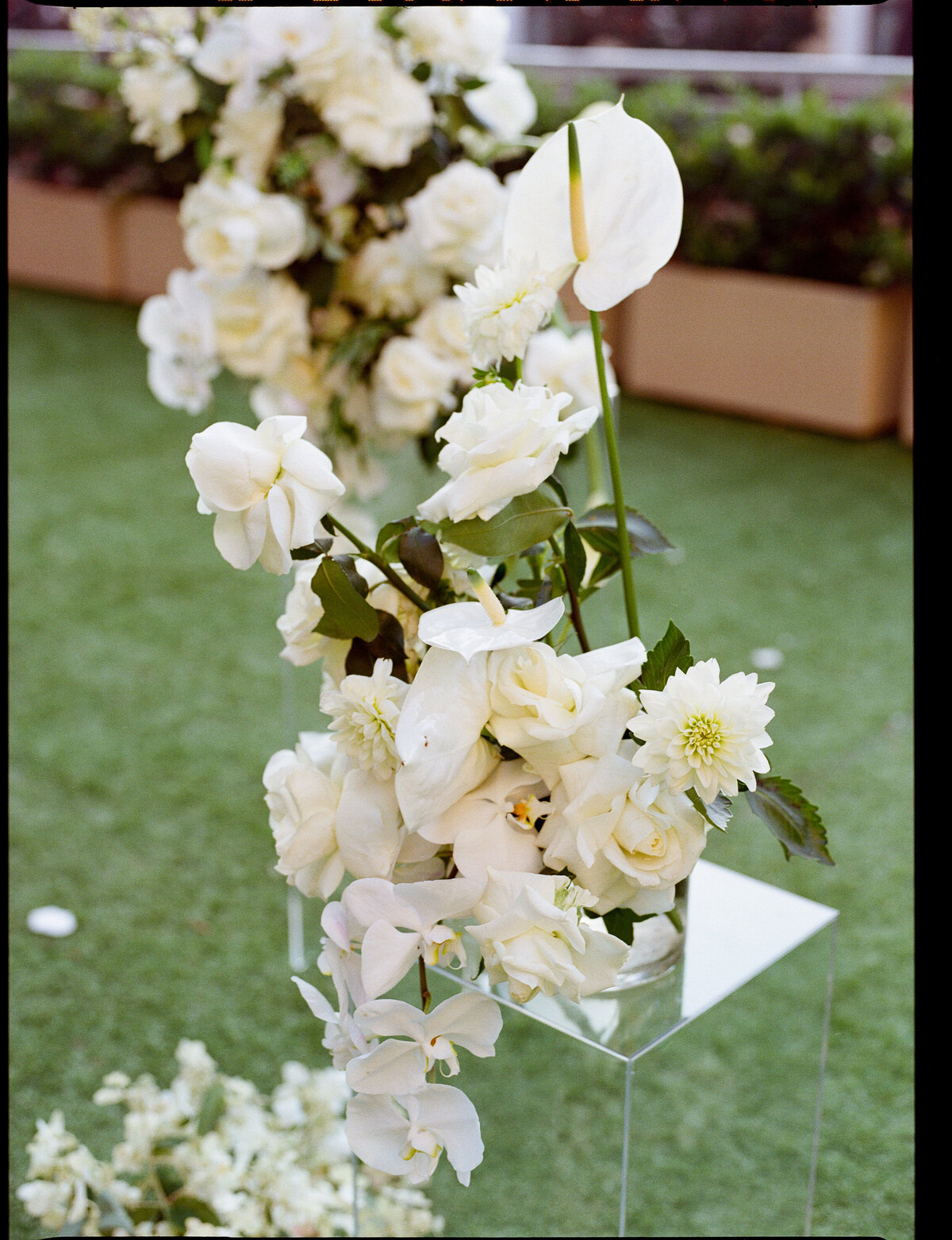 LindsaySean-crystalkphotos-Film-60