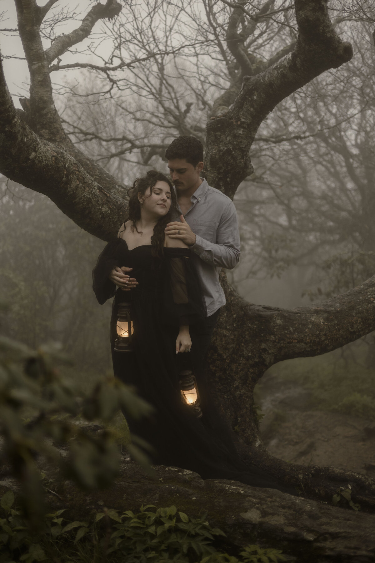 smoky mountain photographer (6)
