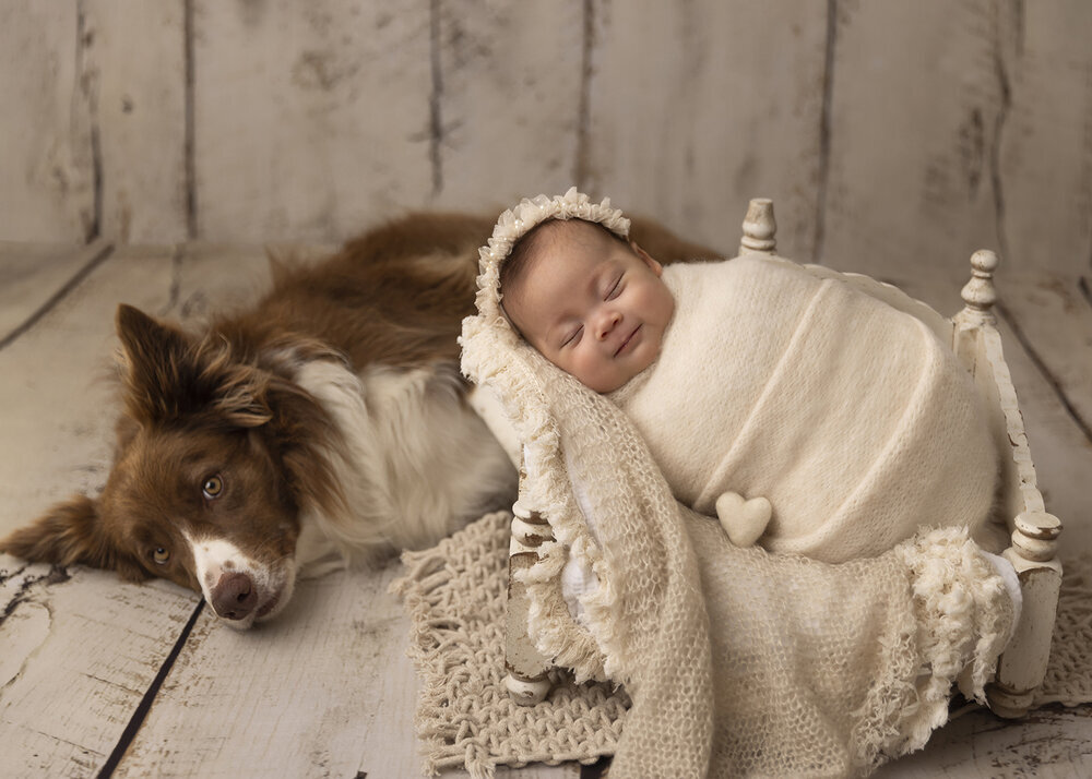 NEWBORN_BABY_GIRL_WRAPPEDINBEDWITHDOGPUPPY