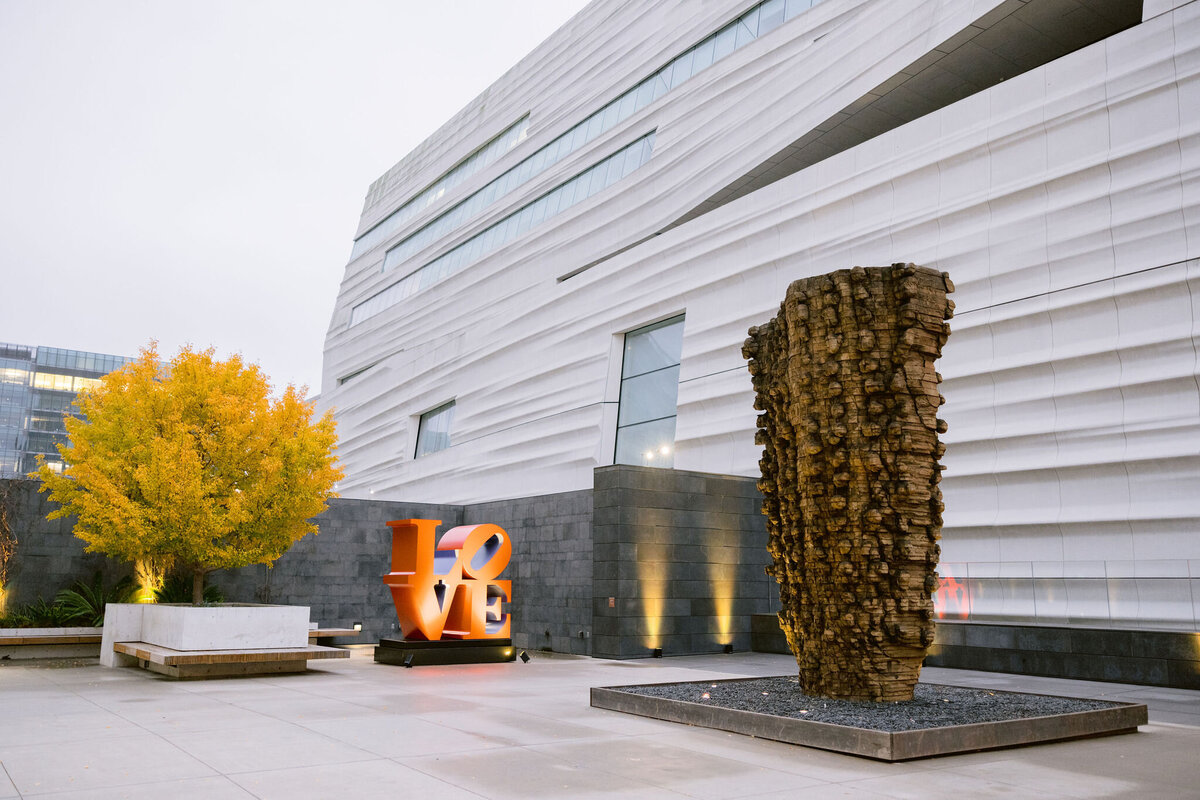 IC-larissa-cleveland-shannon-leahy-moma-mr-jius-san-francisco-115