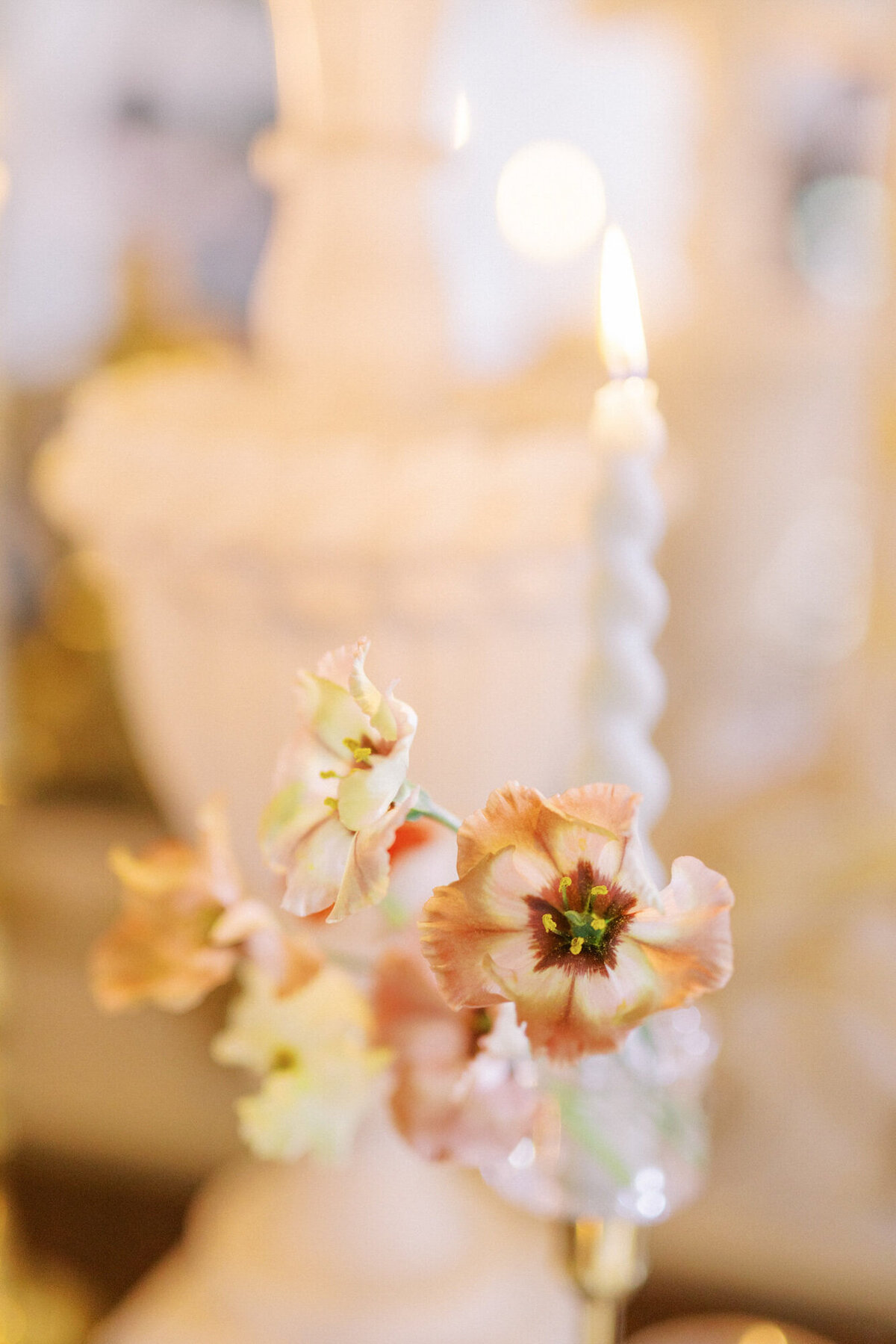 Maïlys Fortune Photography Husband Wife Wedding Weddings Photography France Switzerland Italy Timeless Dreamy Imagery Bilingual French English Destination Weddings Destination Wedding Provence French Riviera Paris Lake Como Tuscany129
