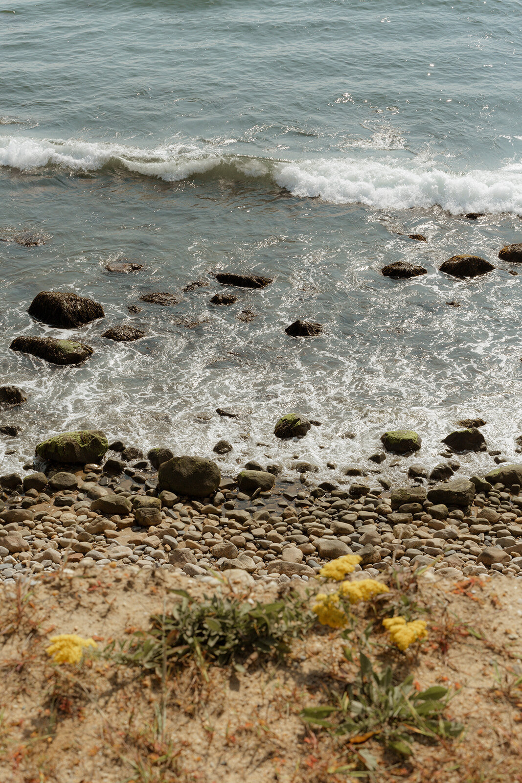 Suzy Anderson Photography_-33