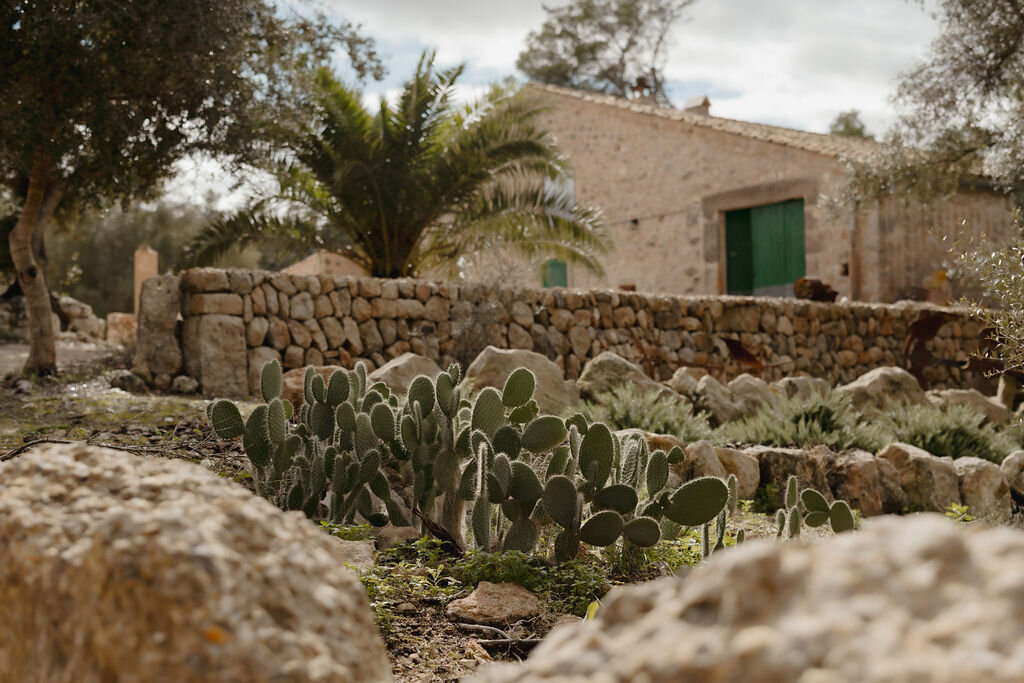 THE AWAKENING ° MIMI FIEDLER  ° FIFTYEIGHT