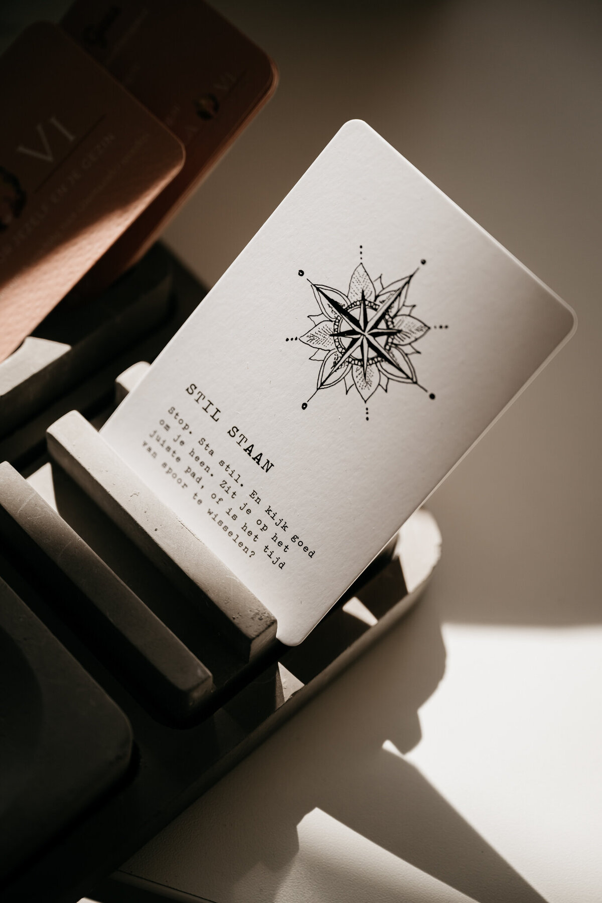 Damemetdelens-LaViTherapiecoaching-Lilianne-Zwijndrecht-Personalbrandingshoot-76