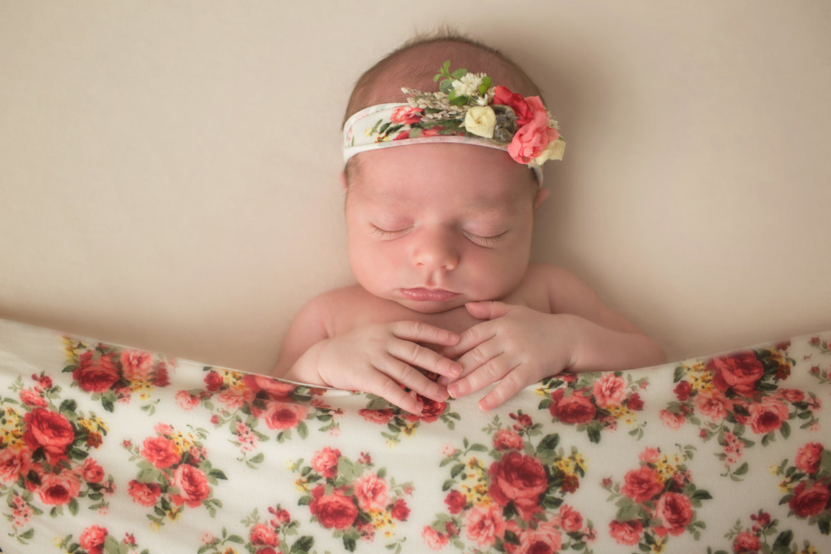 mainline newborn photographer 14