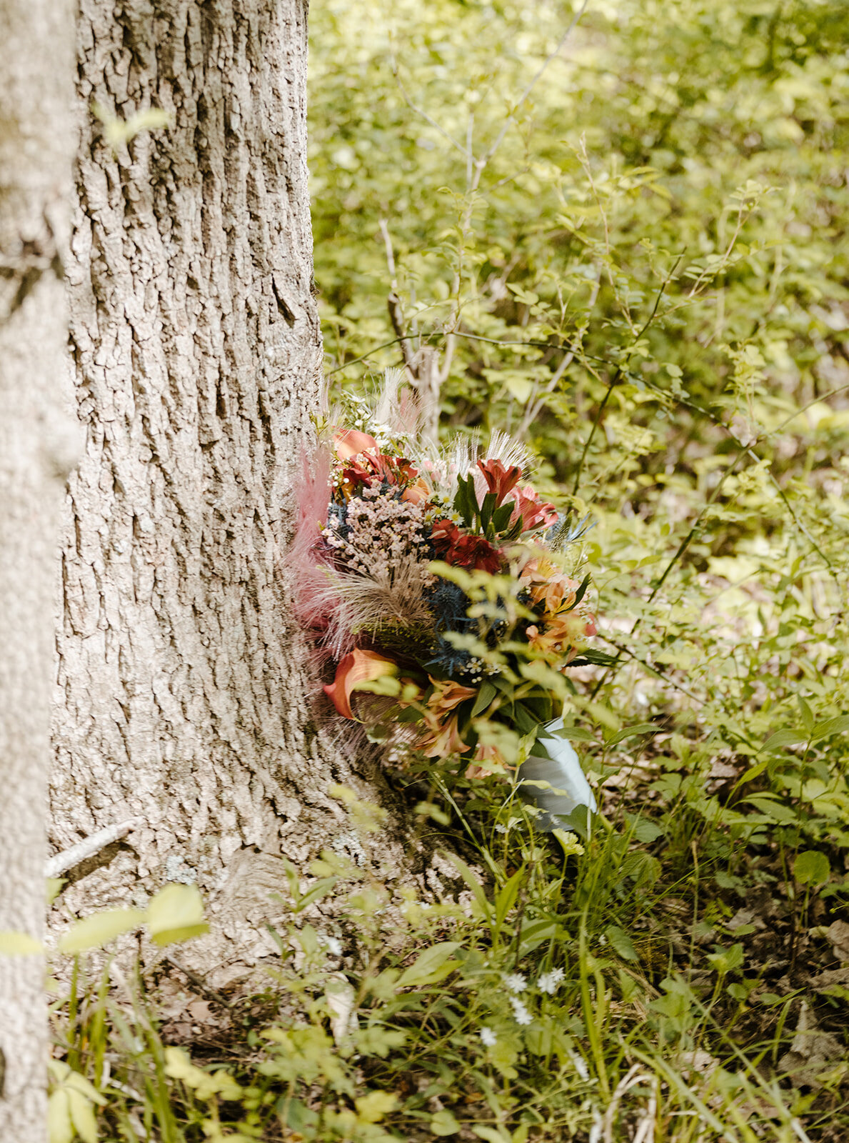 curiouscourtneysphotography-39-4