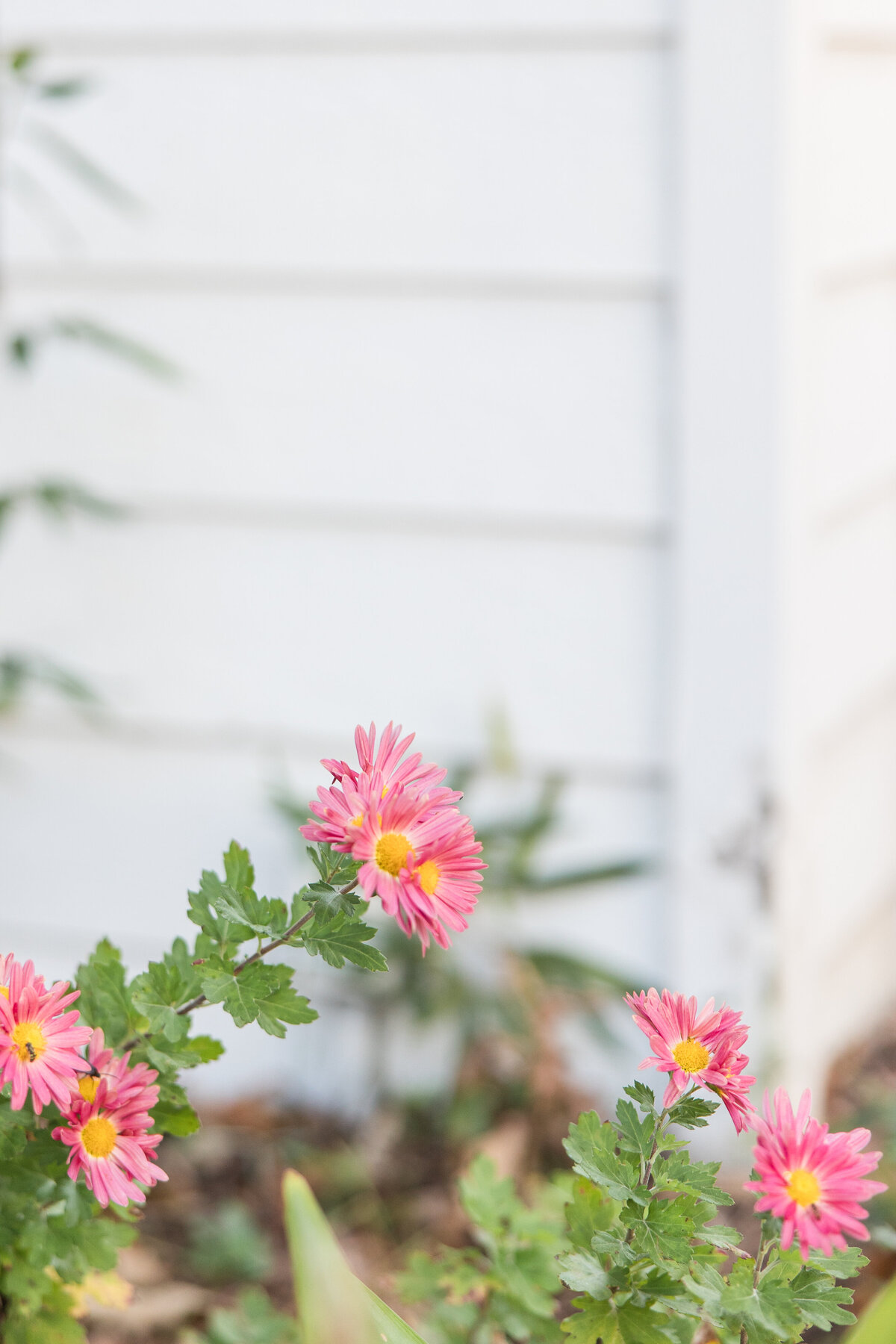 111925_GARDENVENUE_WEBSITEPHOTOS-97