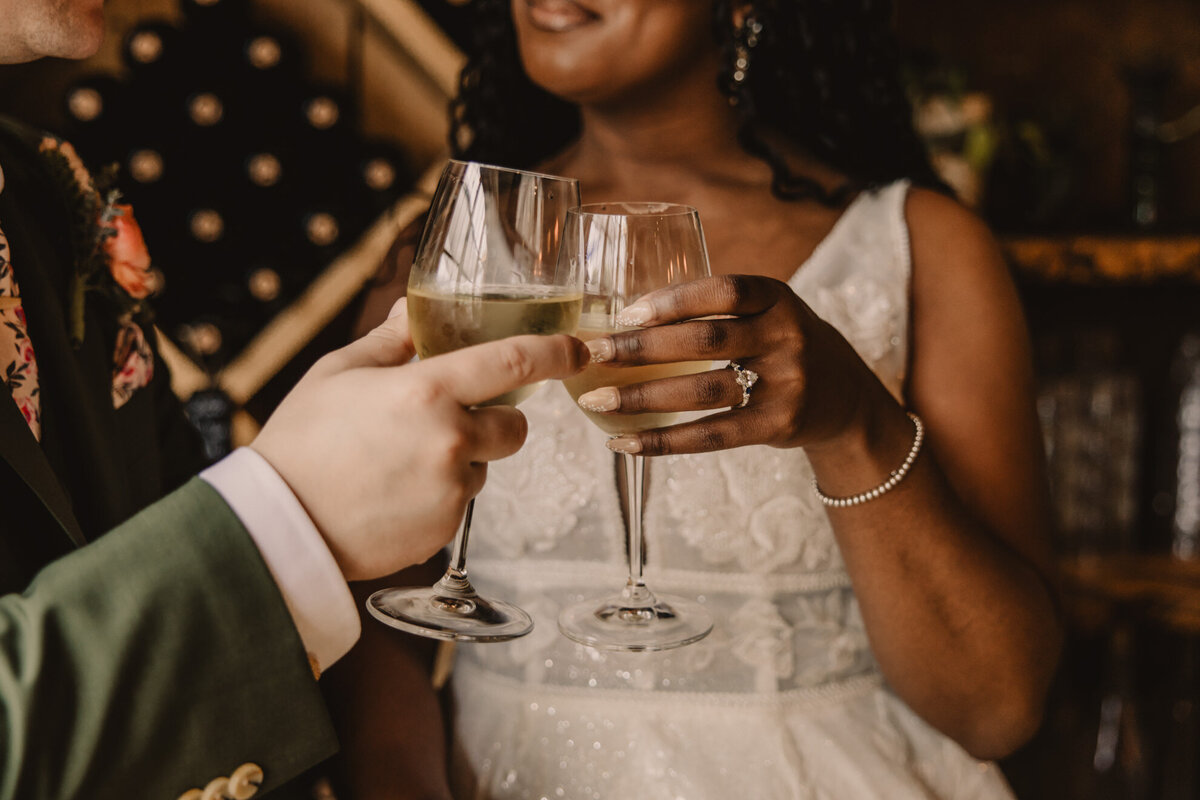 A couple toasting wine glasses 