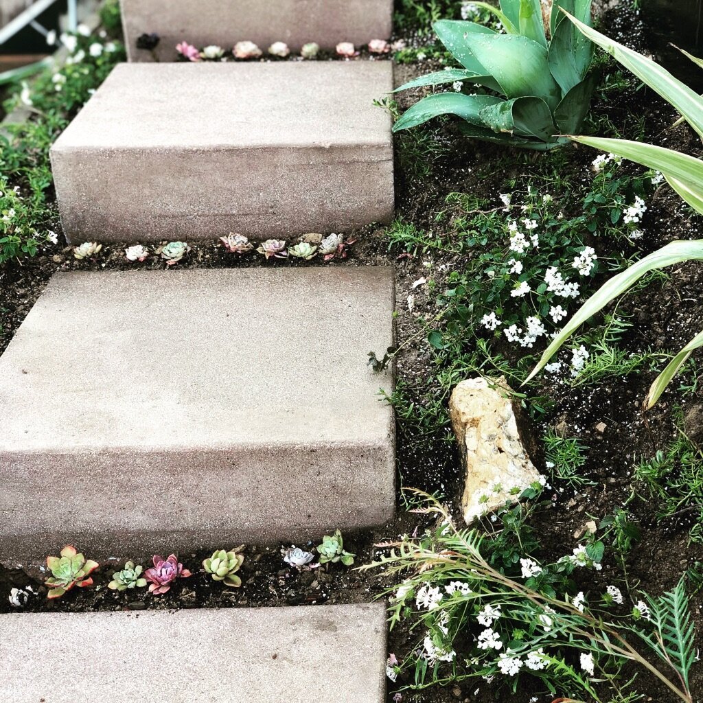 B4387BD7-C9A3-488B-90FA-512FD9CDD763_1_105_c