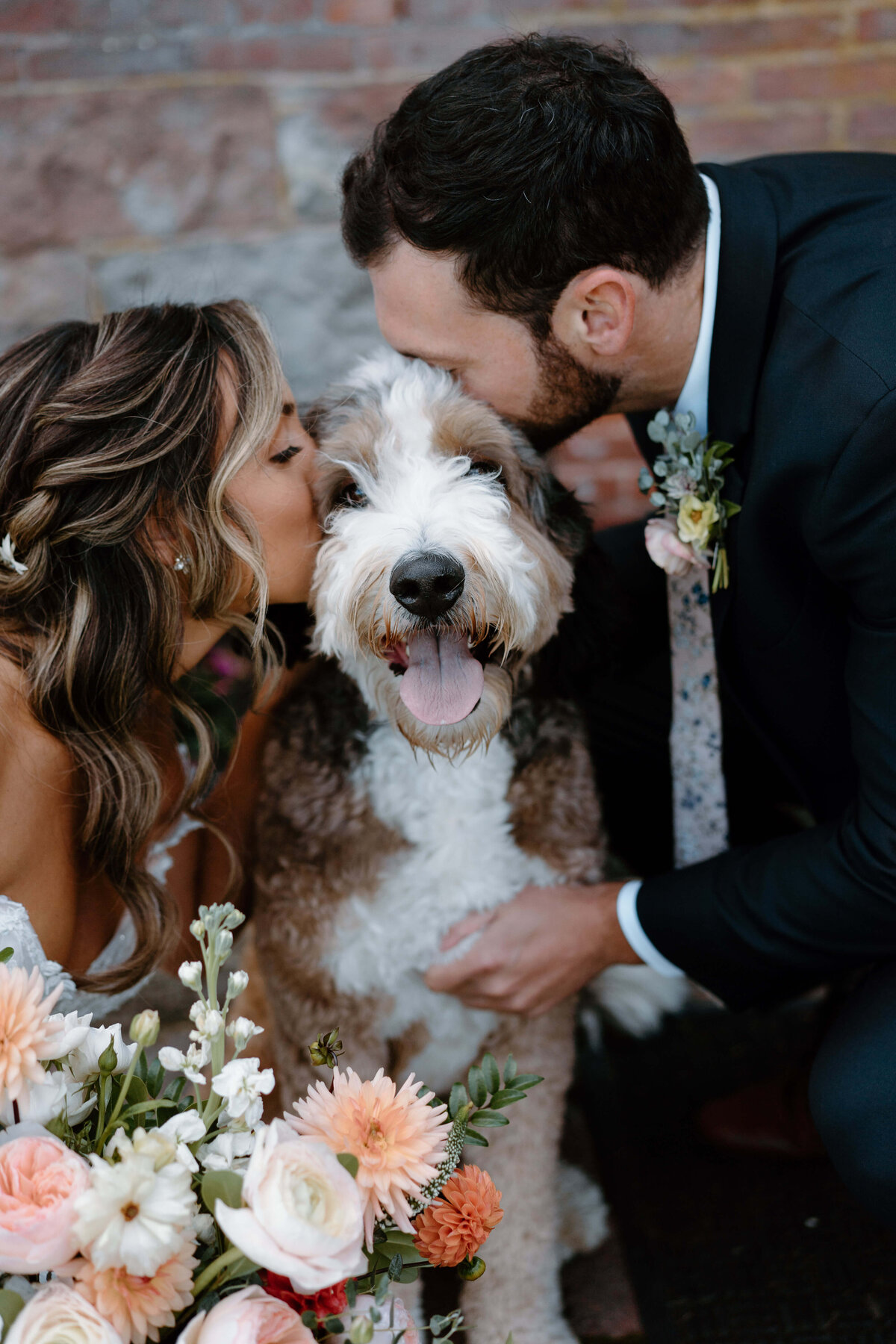 Bride and groom kissing fluffy dog