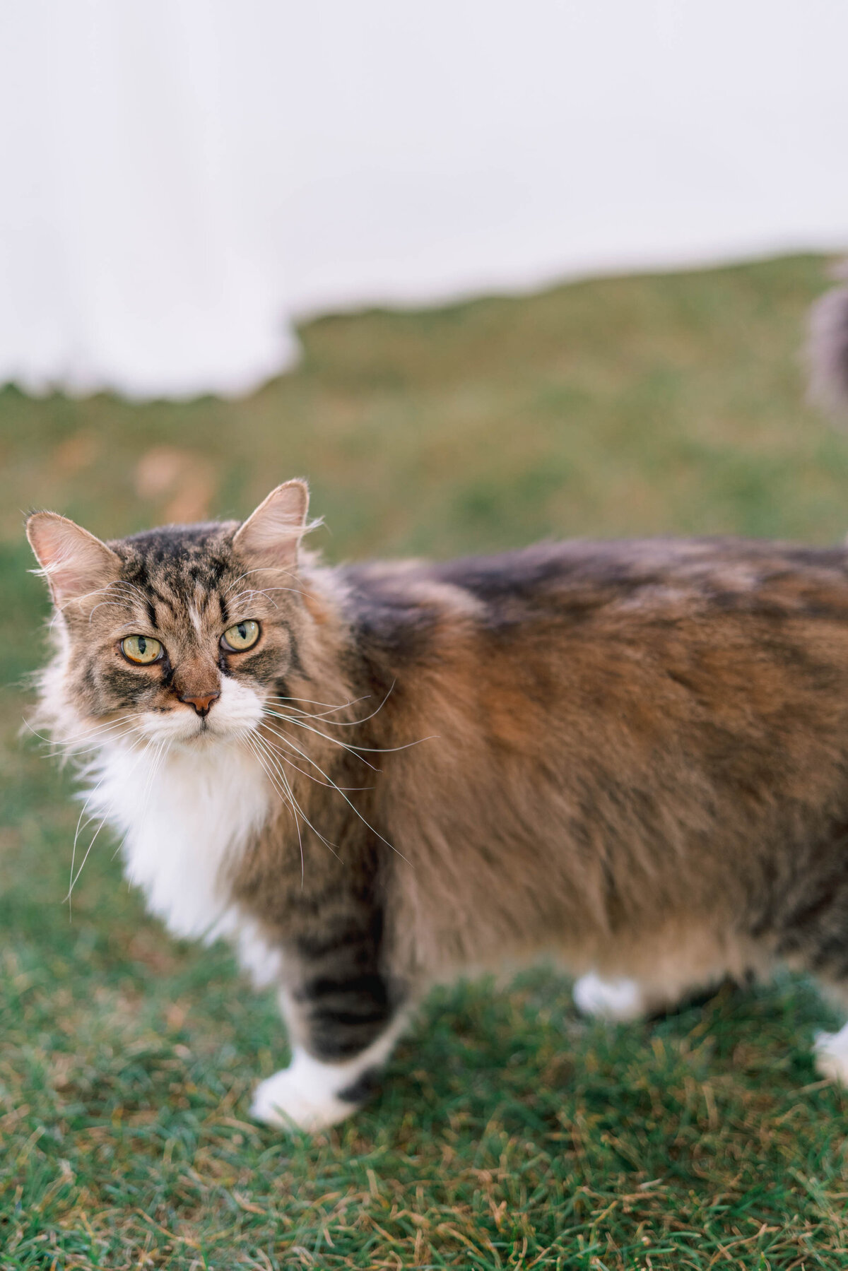 MargaretJames_TheFrickPittsburgh-54