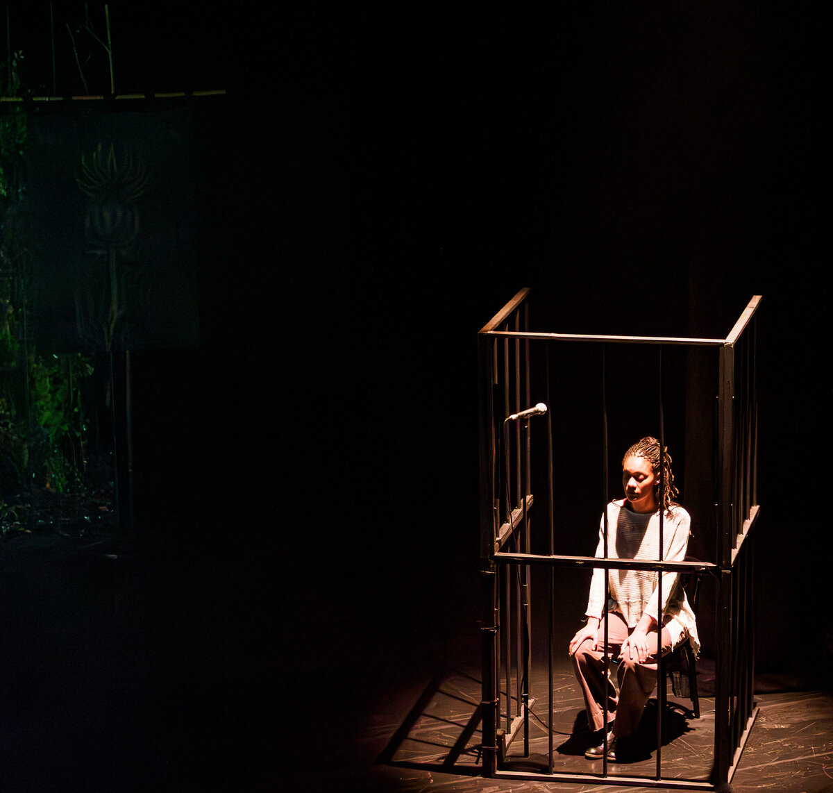 ROBIN  TPV_2130250-2-Enhanced-NR