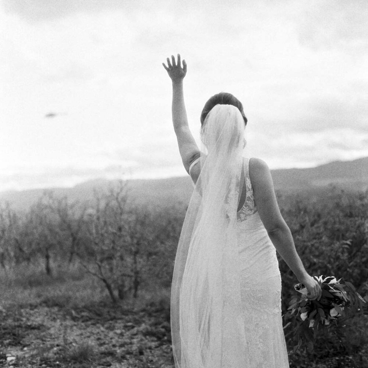 Denver Bride