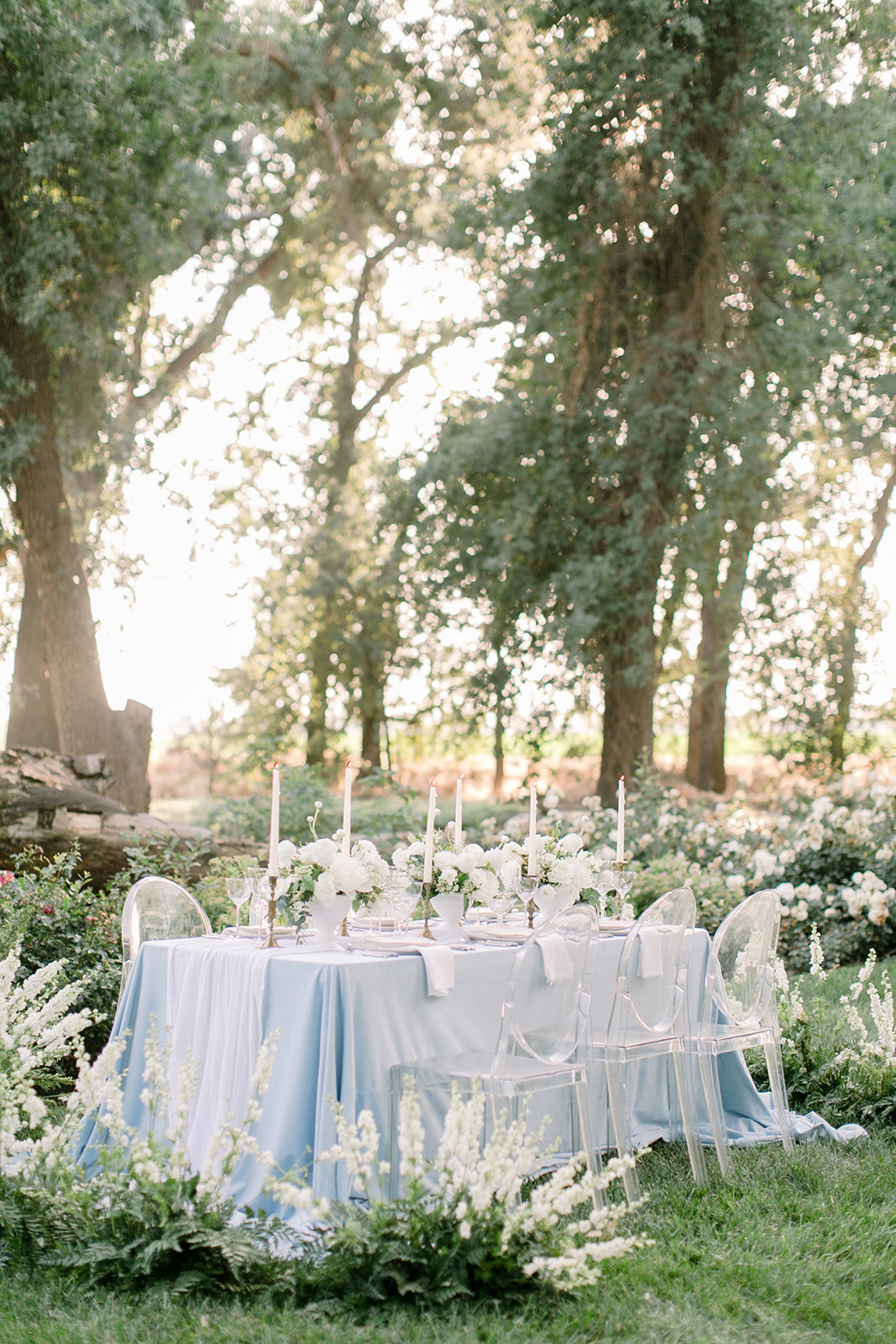 Ribbon & Leaf Events, Visalia CA