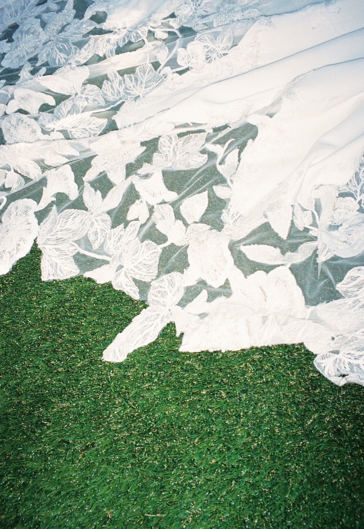 SB_4268_Portra 400_370185-R1-042-19A