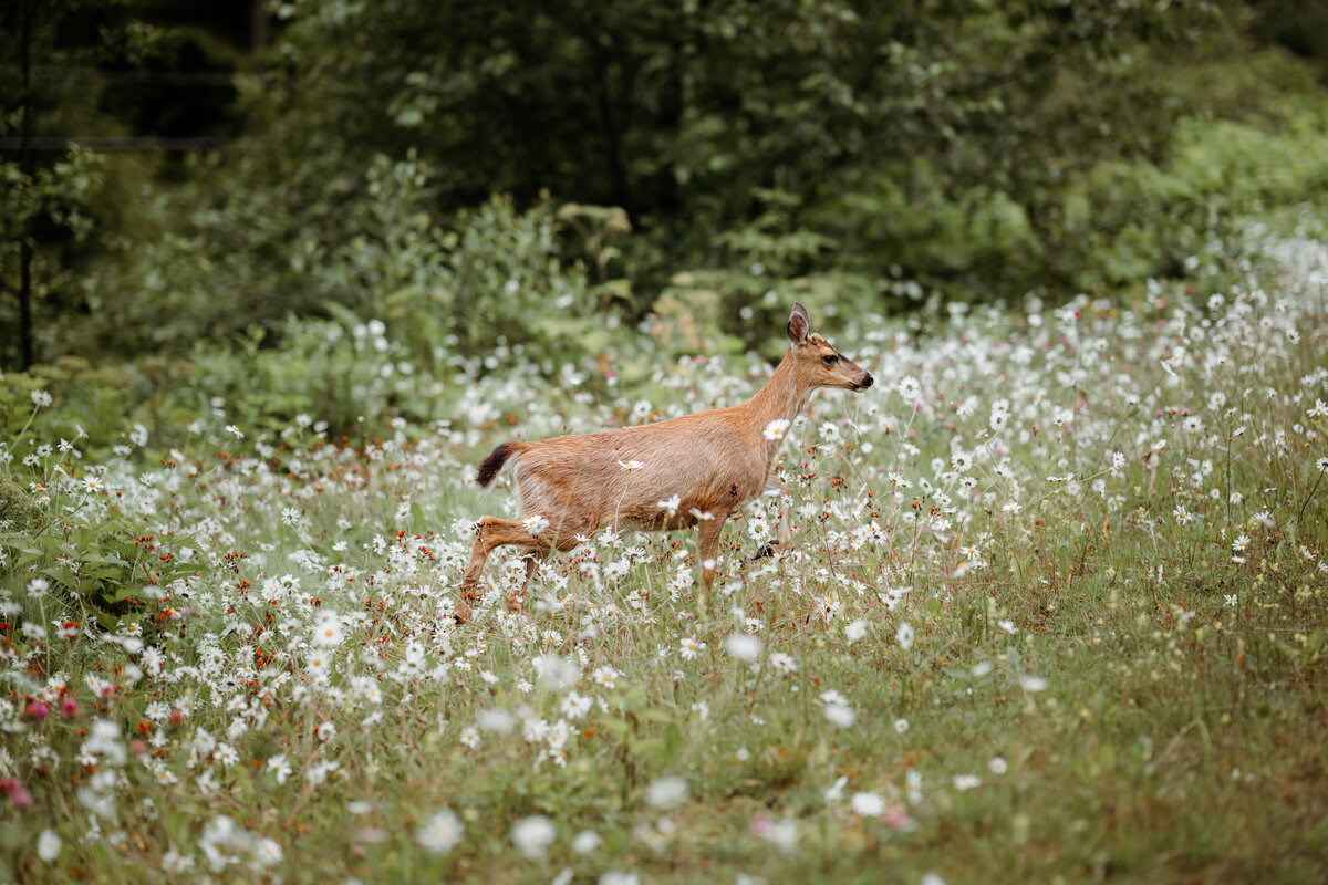 ashley-matt-elopement-eagle-beach-180