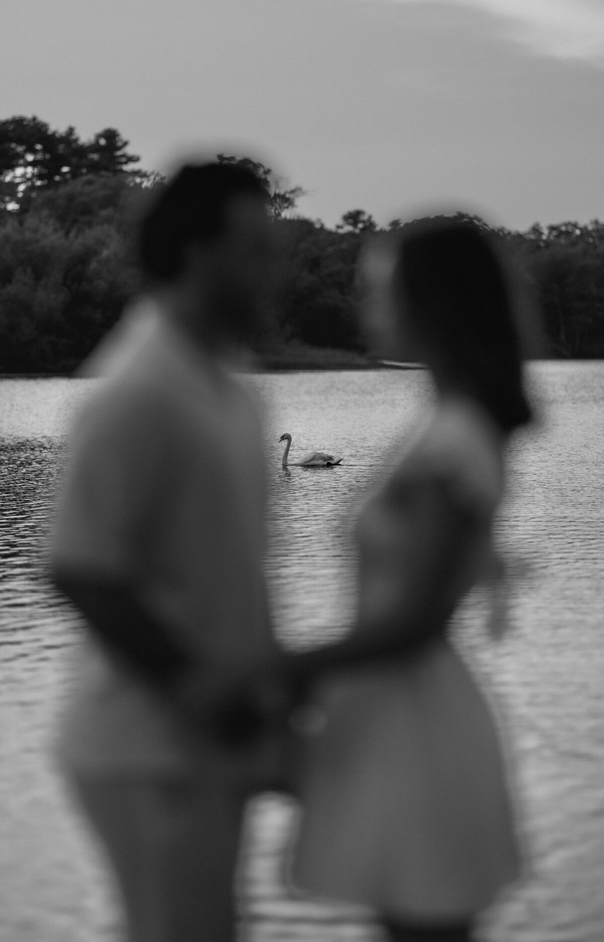 DaveJoceRowBoatEngagementSessionBostonWeddingPhotographer12025-3