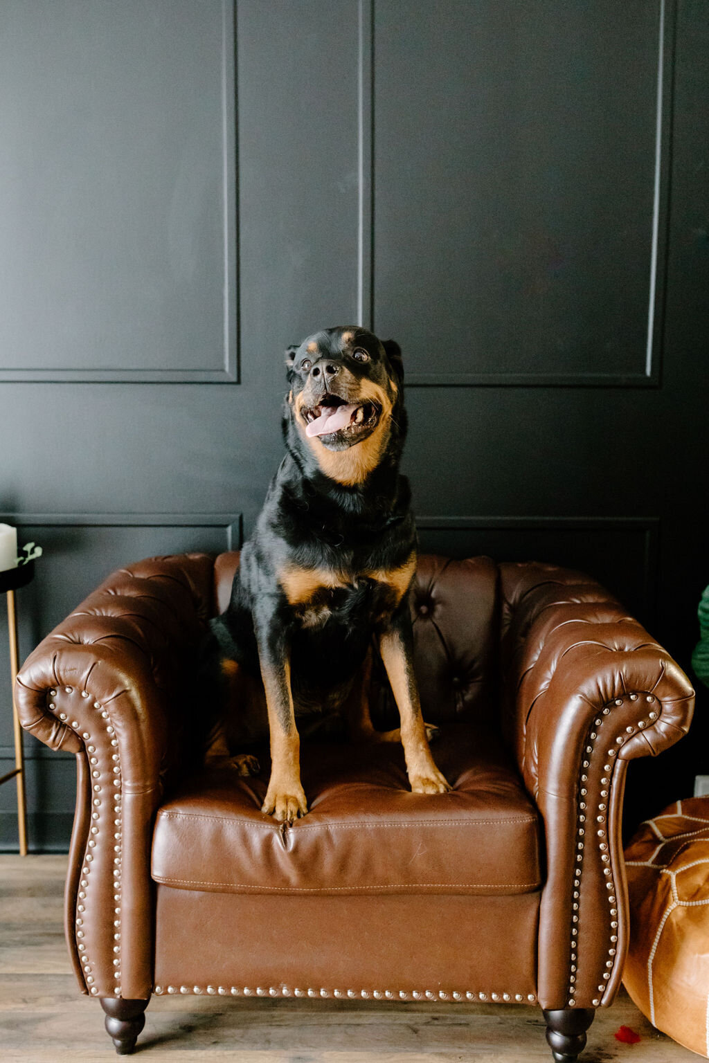 christina_ney_photography_wedding_engagement_lifestyle_photographer_dubuque_iowa_wedding_planning_assistance_adventurous_bold_laidback Family Photography58