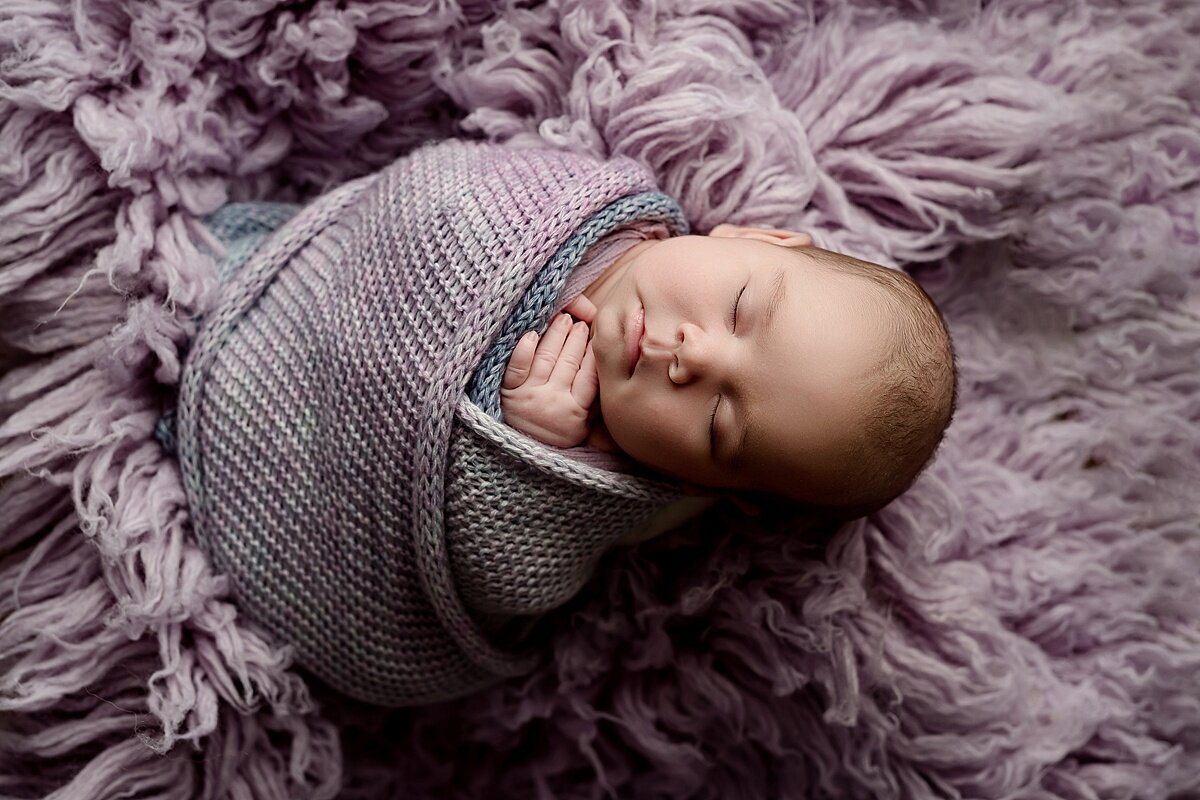 waukesha newborn photos