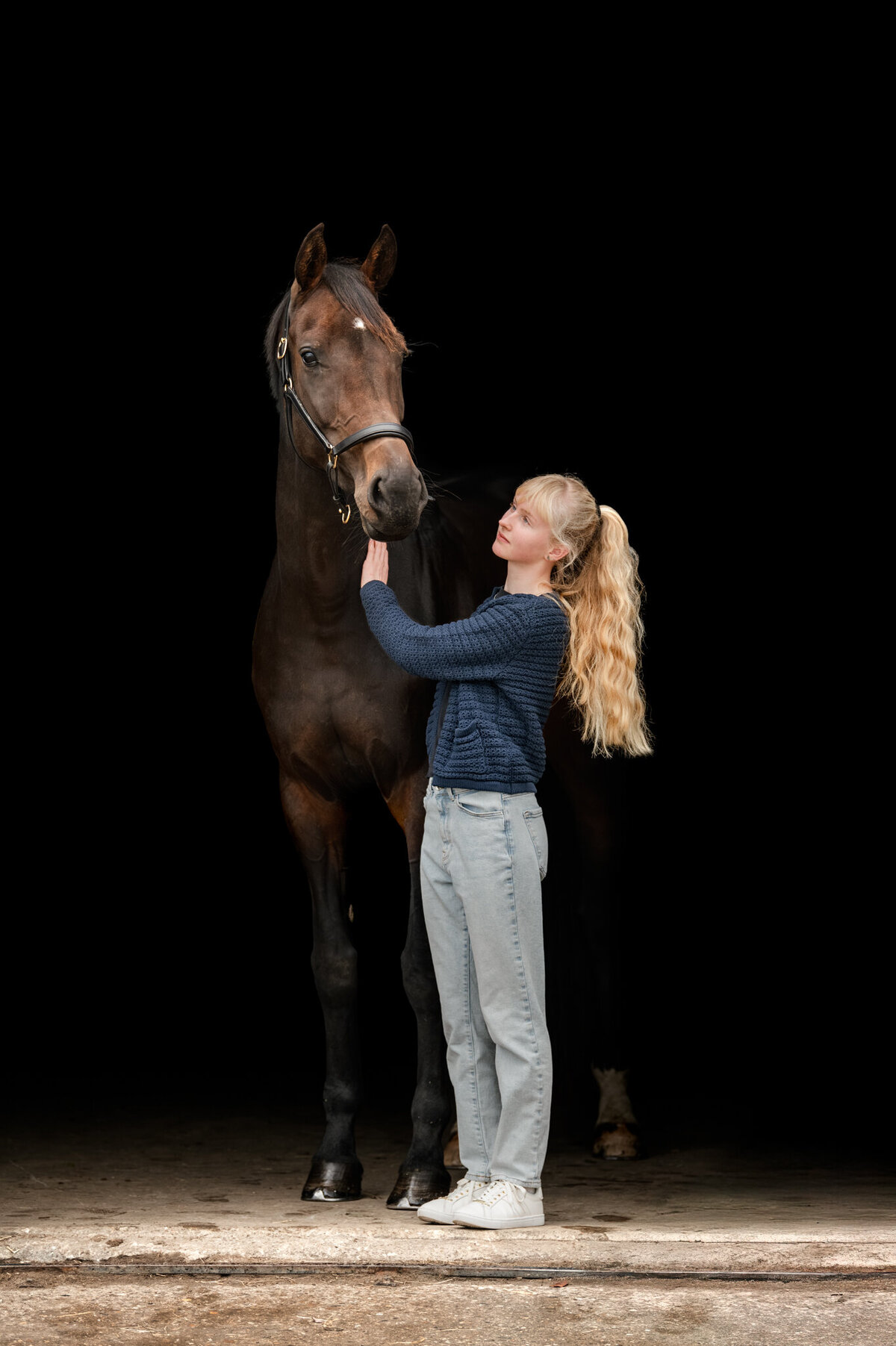 blackshoot paard friesland-2