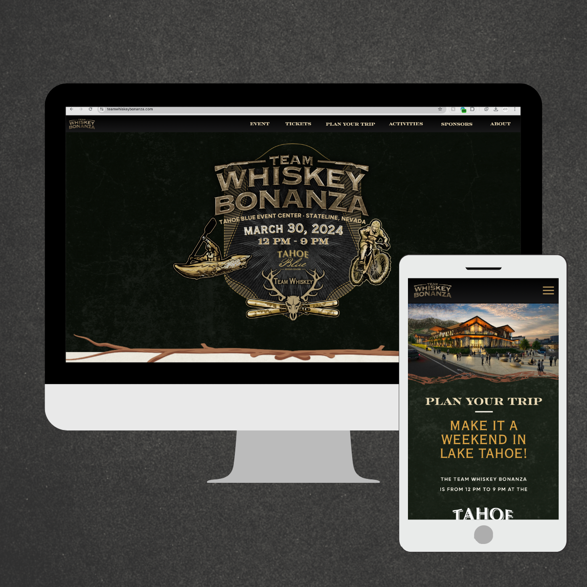 Website design project