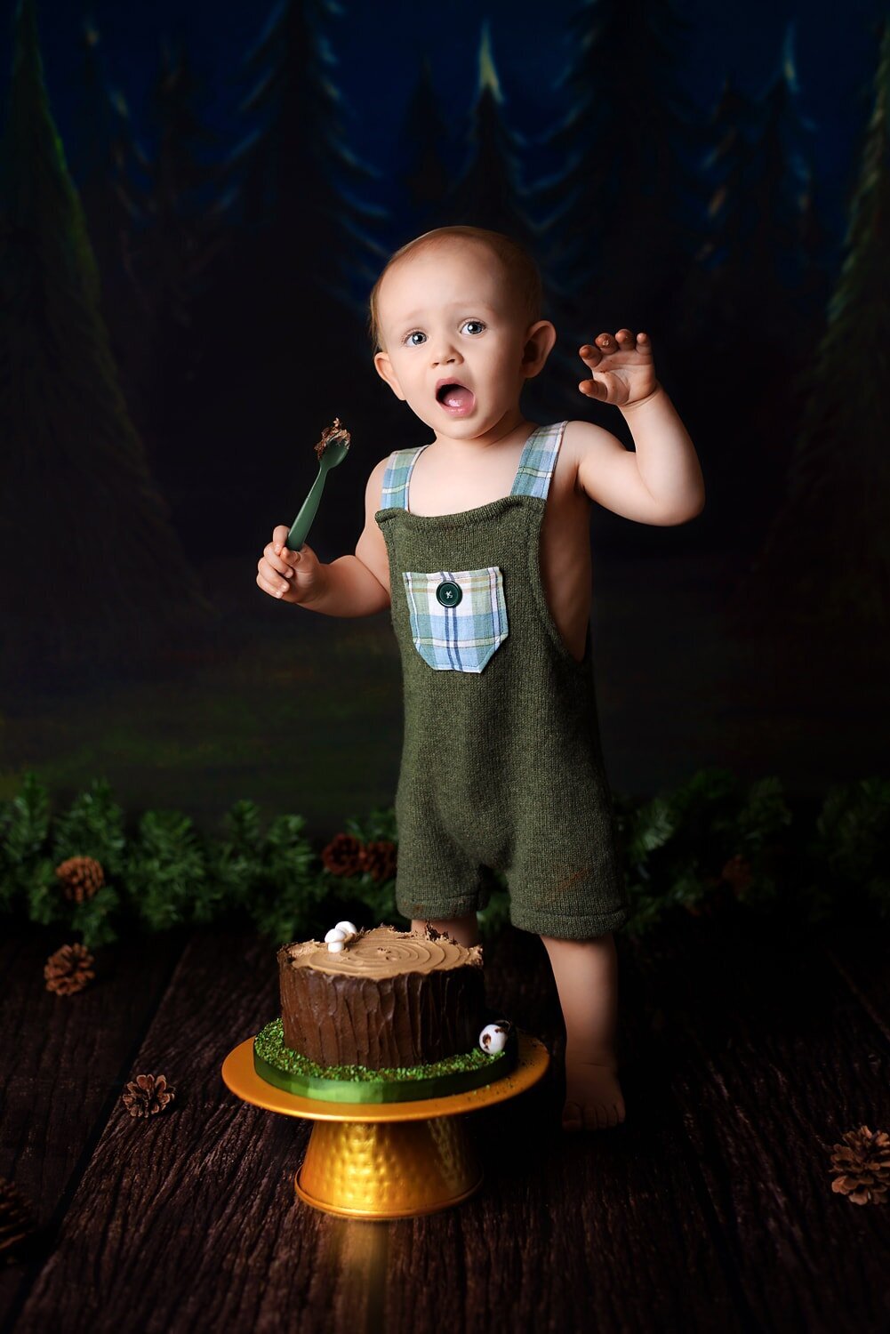 Woodland theme cake smash with 1 year old boy standing up.