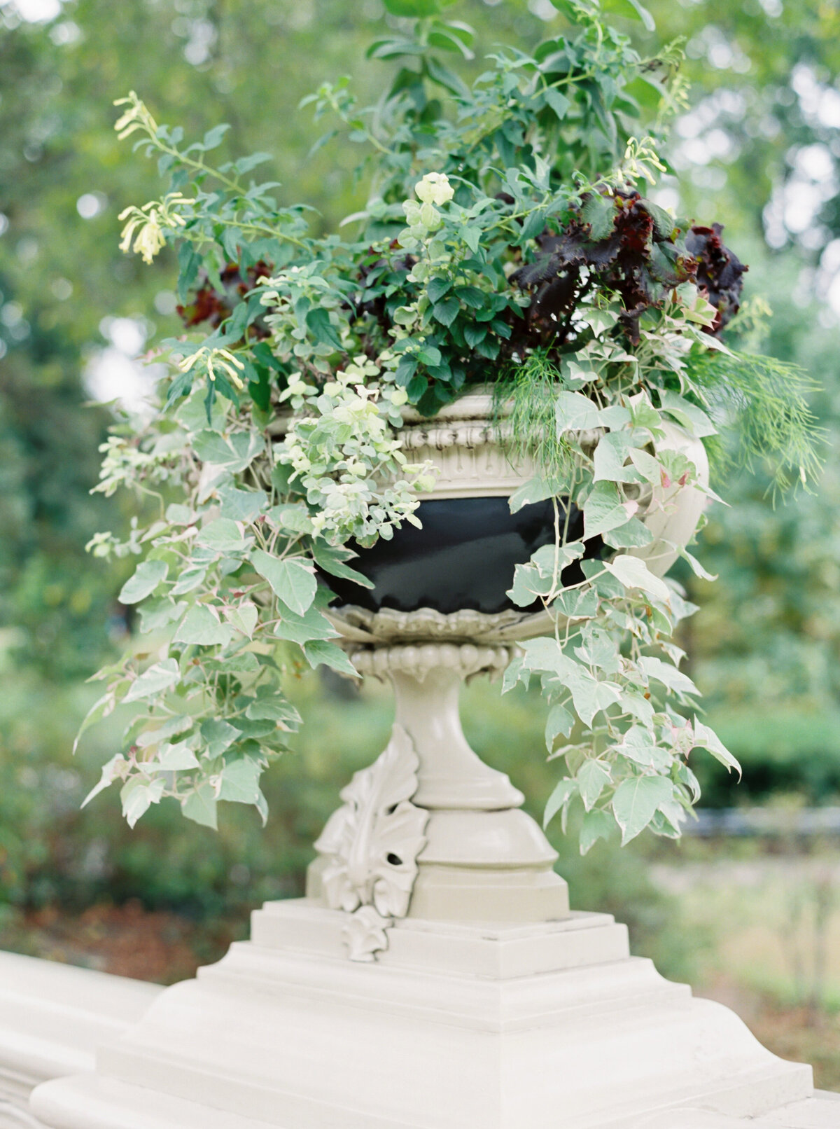 Tiffaney Childs Photography-NYC Wedding Photographer-Andrea + John-Central Park Engagement -113