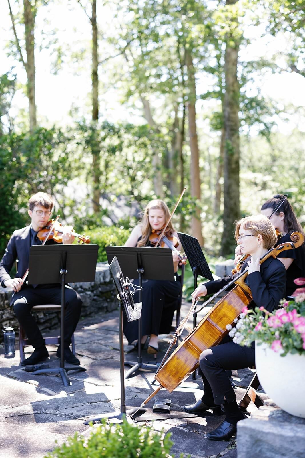String quartet at wedding